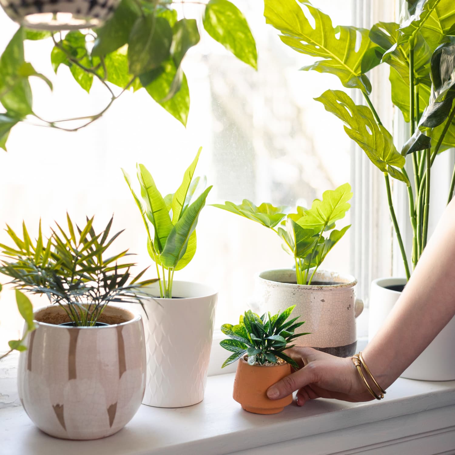 How To Clean Fake Plants Step By Step With Pictures Apartment Therapy - Is It Bad To Have Fake Plants In Your House