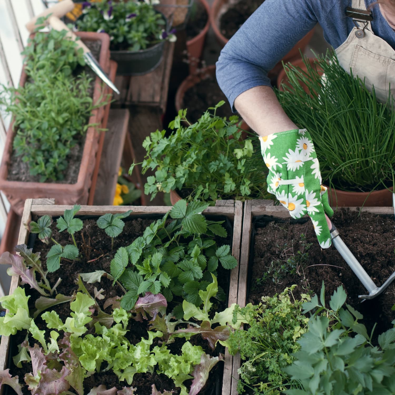 Reddit Tips On How To Grow Your Own Home Garden Apartment Therapy