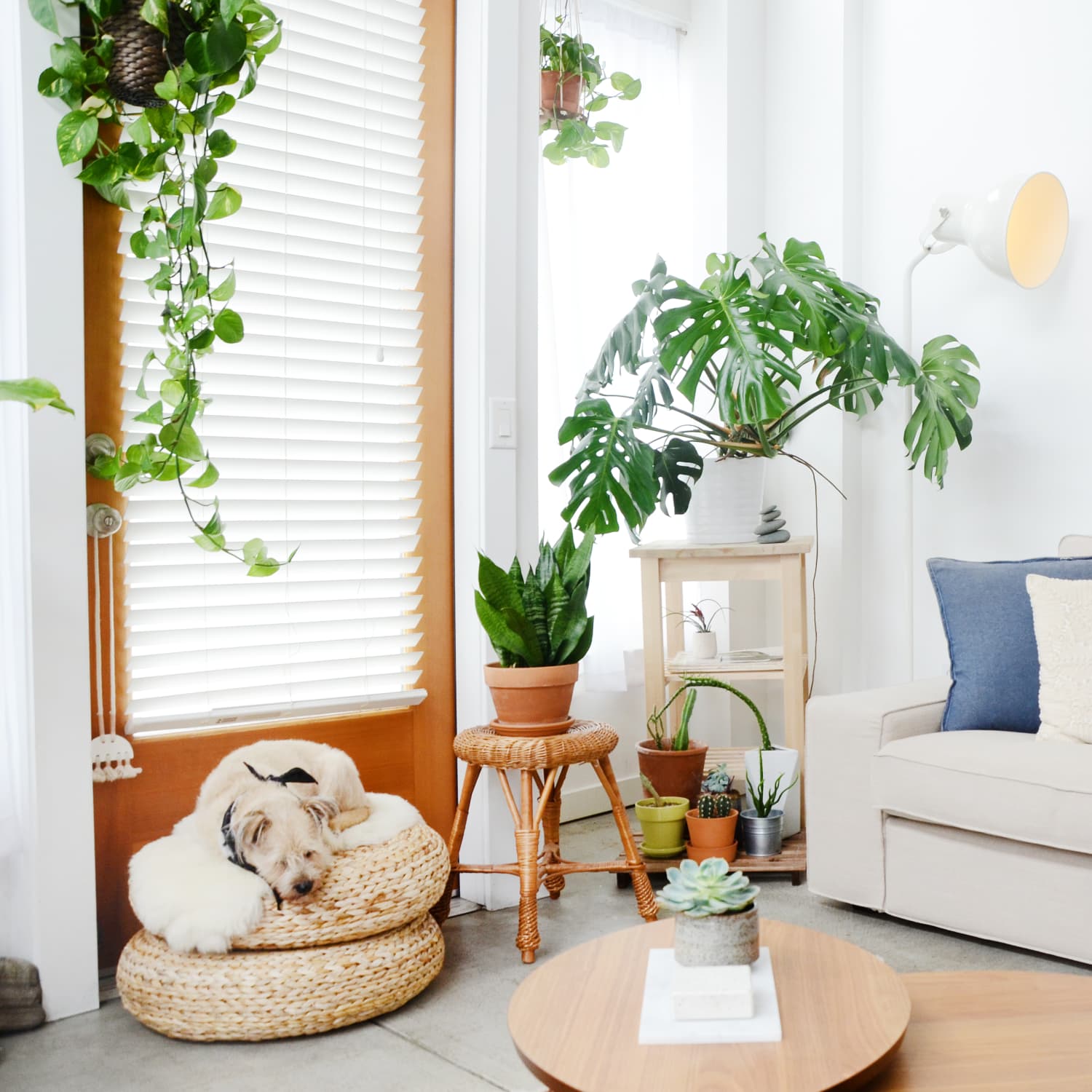 10 Best Small Sleeper Sofas For Apartments Tight Spaces Apartment Therapy 10 best small sleeper sofas for