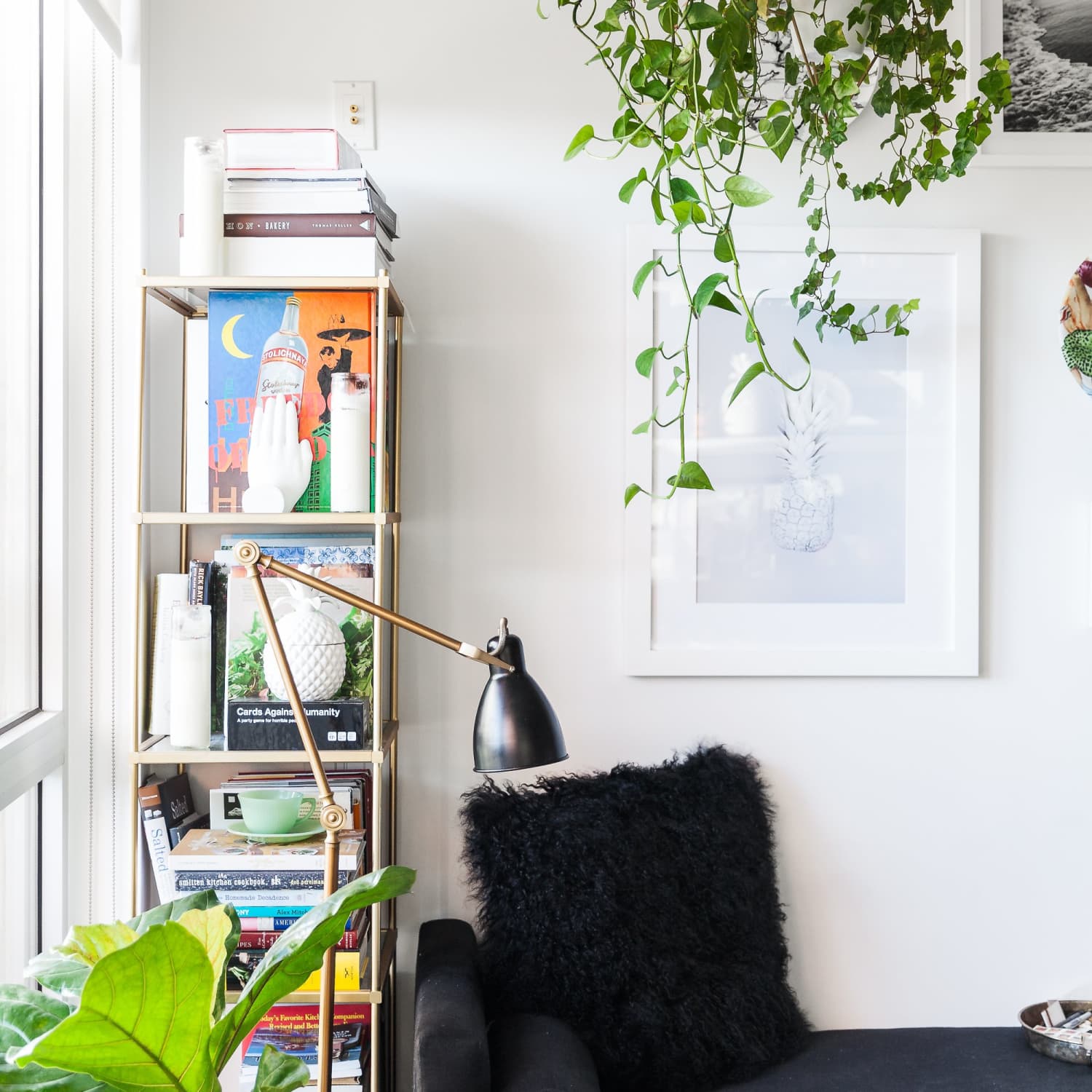 The Best Indoor Vining Plants Apartment Therapy Rooms to go bedroom elara las vegas 2 bedroom suite pink and black bedroom black table lamps can sometimes provide additional light for reading or when you re on your laptop. the best indoor vining plants