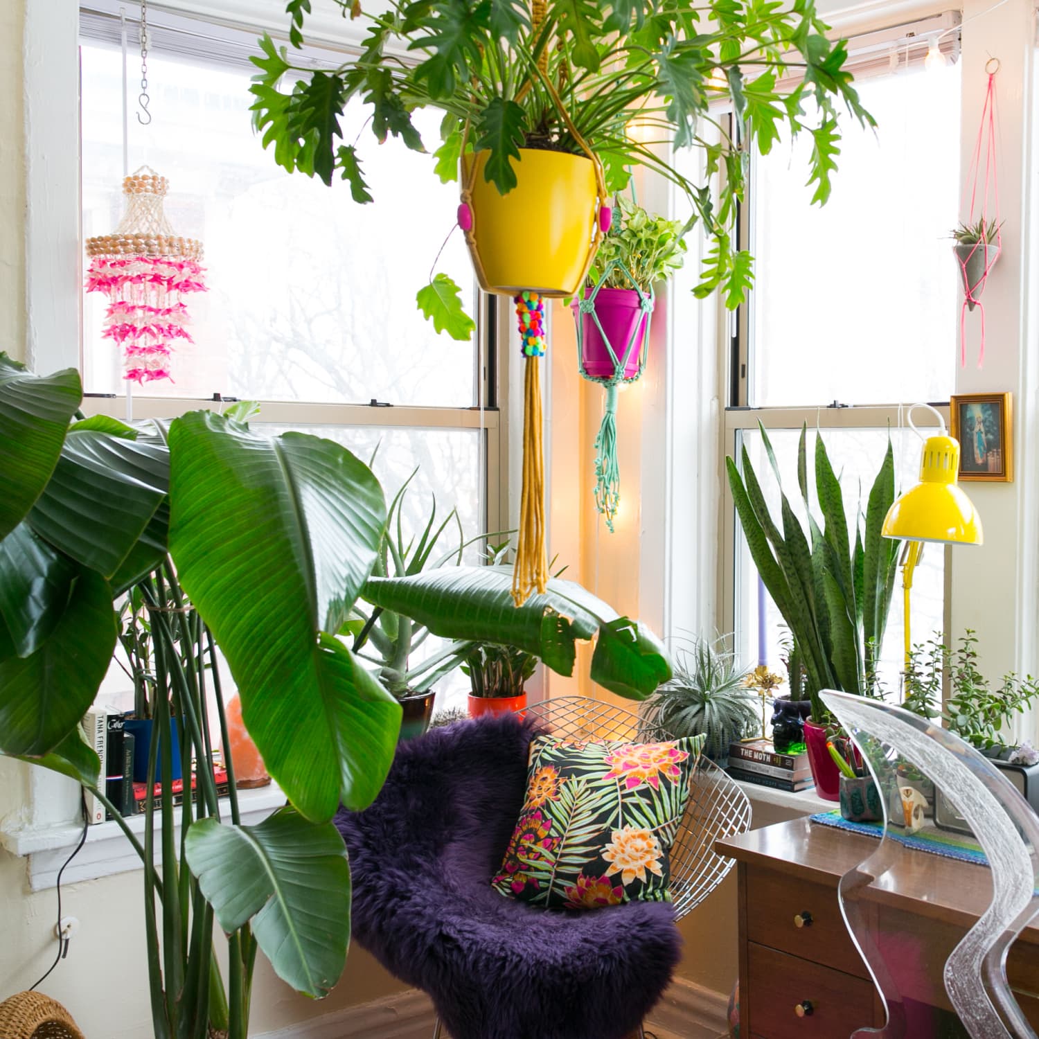 Create a Boho Vibe with Hanging Plants and Fairy Lights