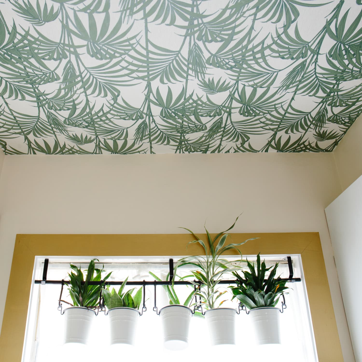 Drop Ceiling Ideas Apartment Therapy
