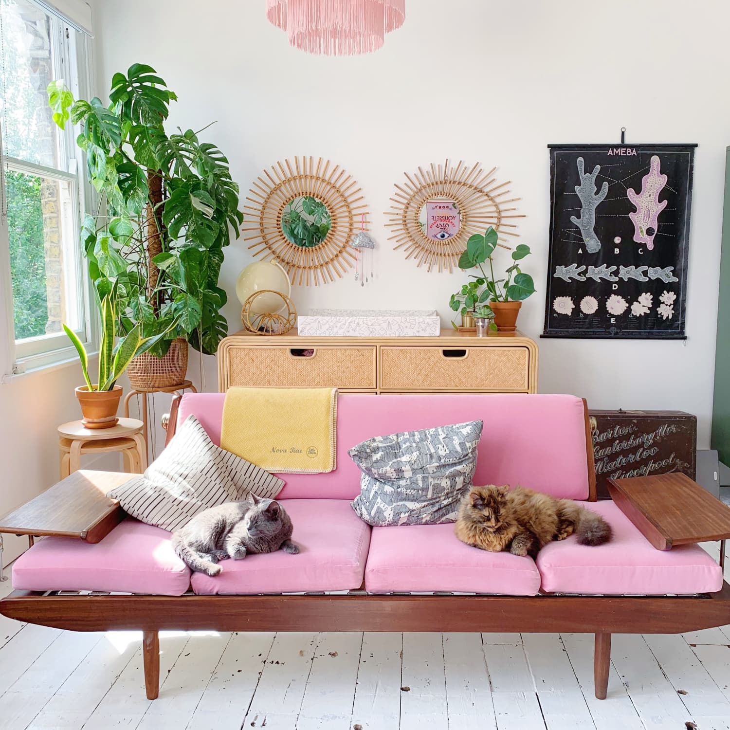 Plant Filled Light London Flat Tour Photos Apartment Therapy