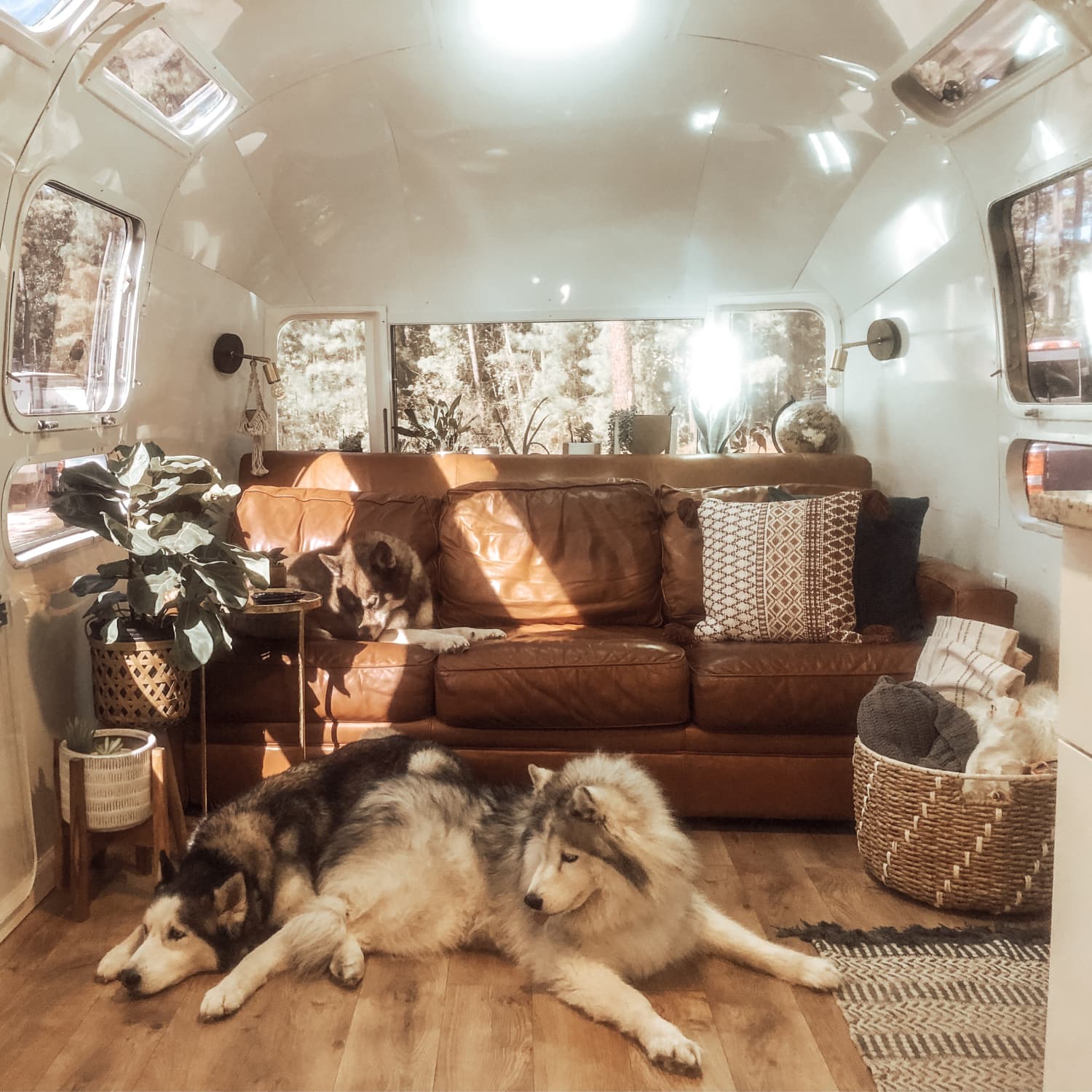 First time on a Cat Scale - Airstream Forums