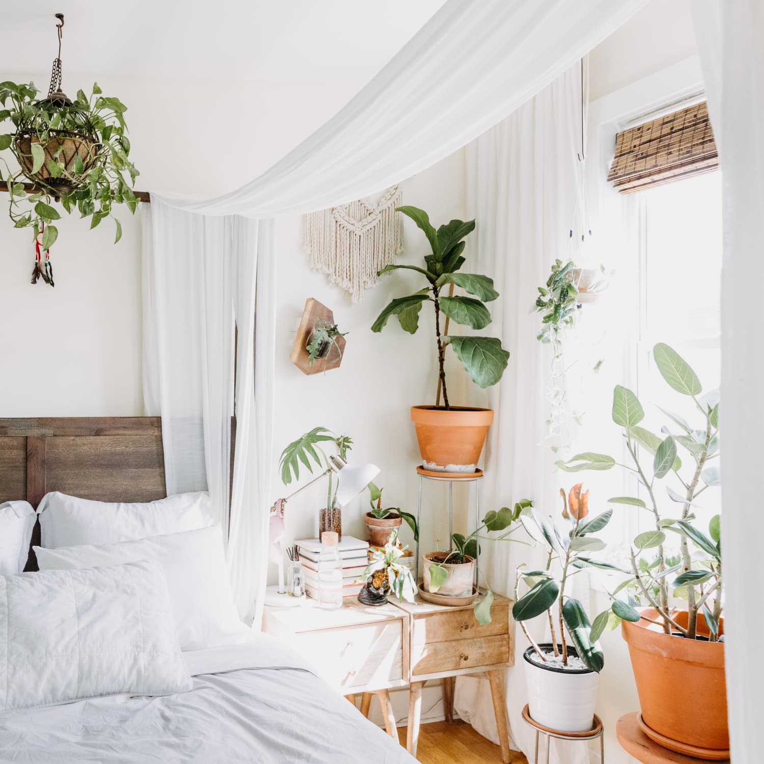 The Best Indoor Plants for Small Spaces