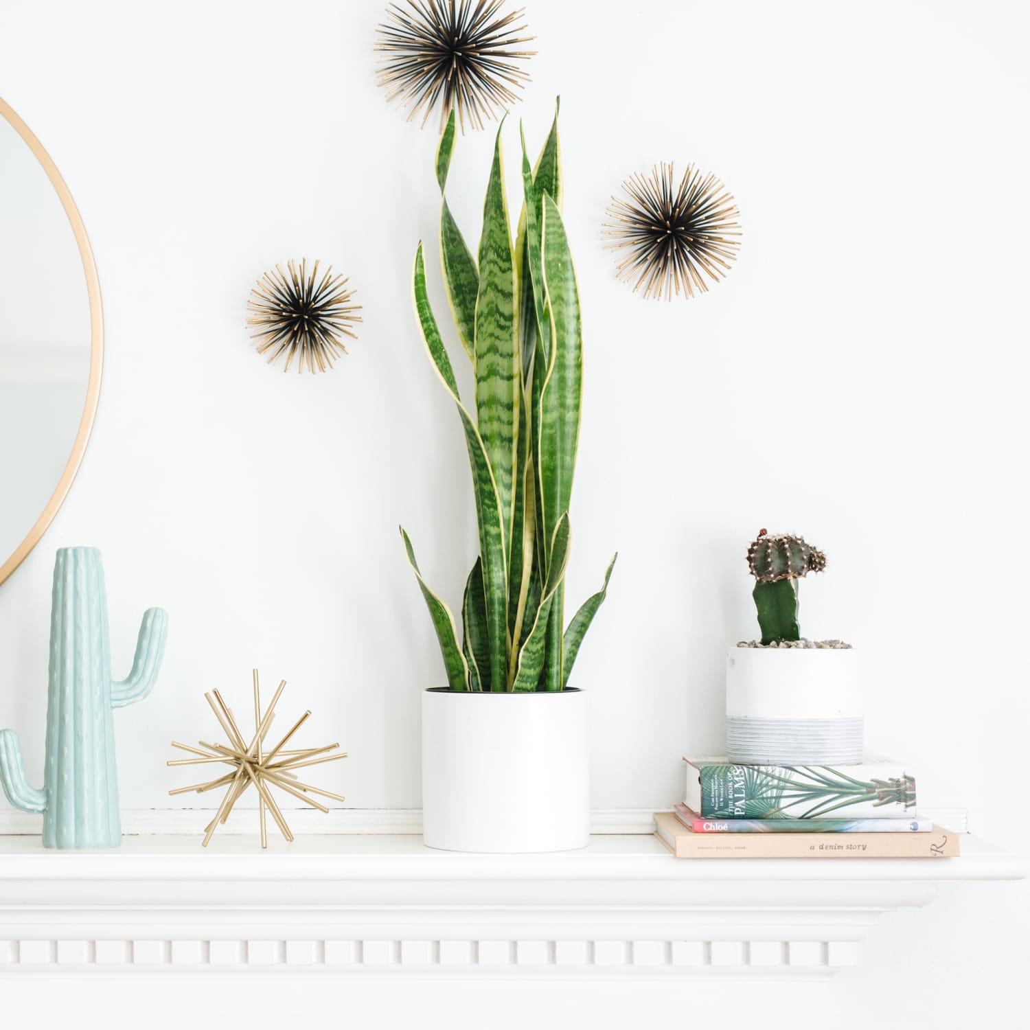 Everything To Know About Ikea S Plant Department Apartment Therapy