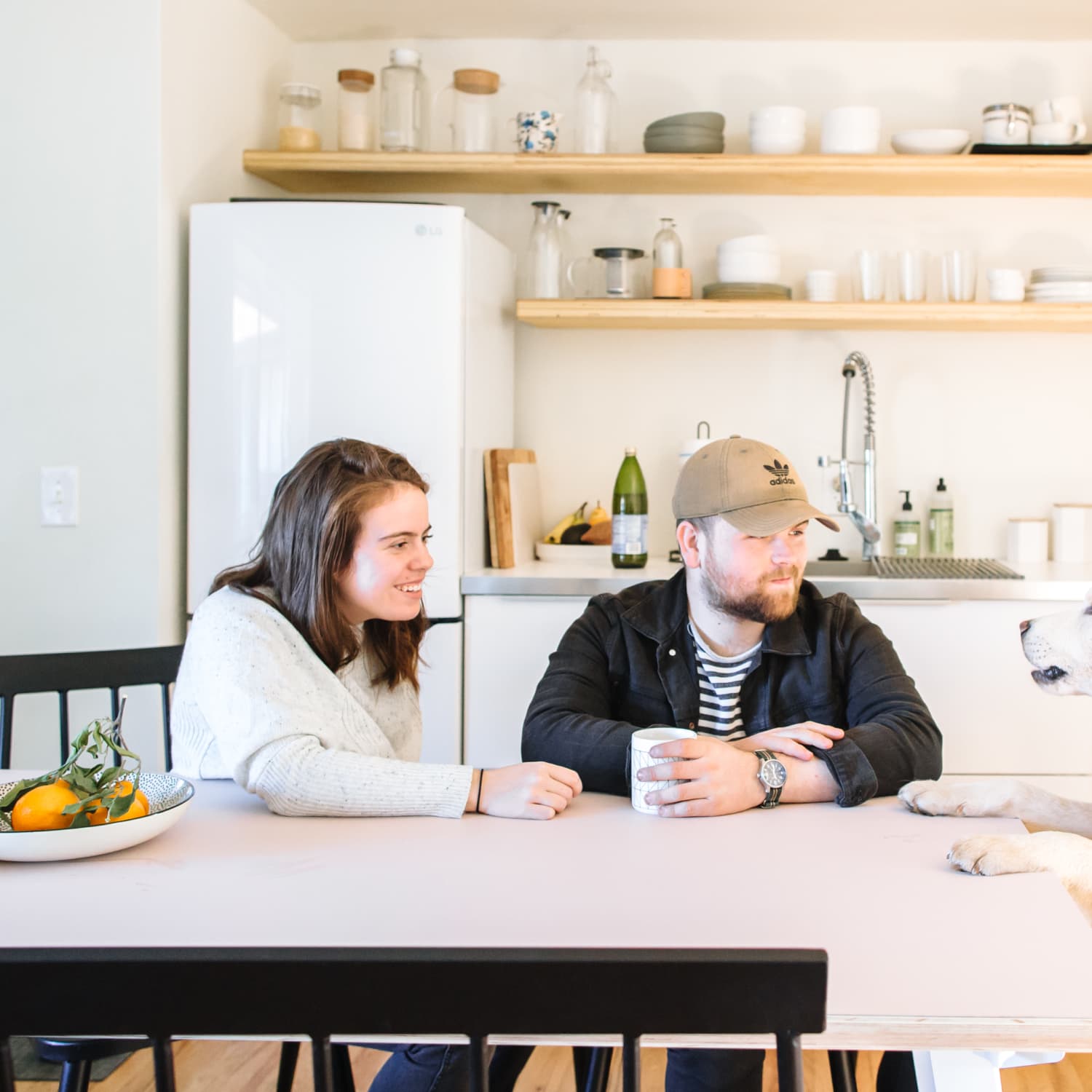 Here Are The Best Ways To Store Your Pet S Food Kitchn