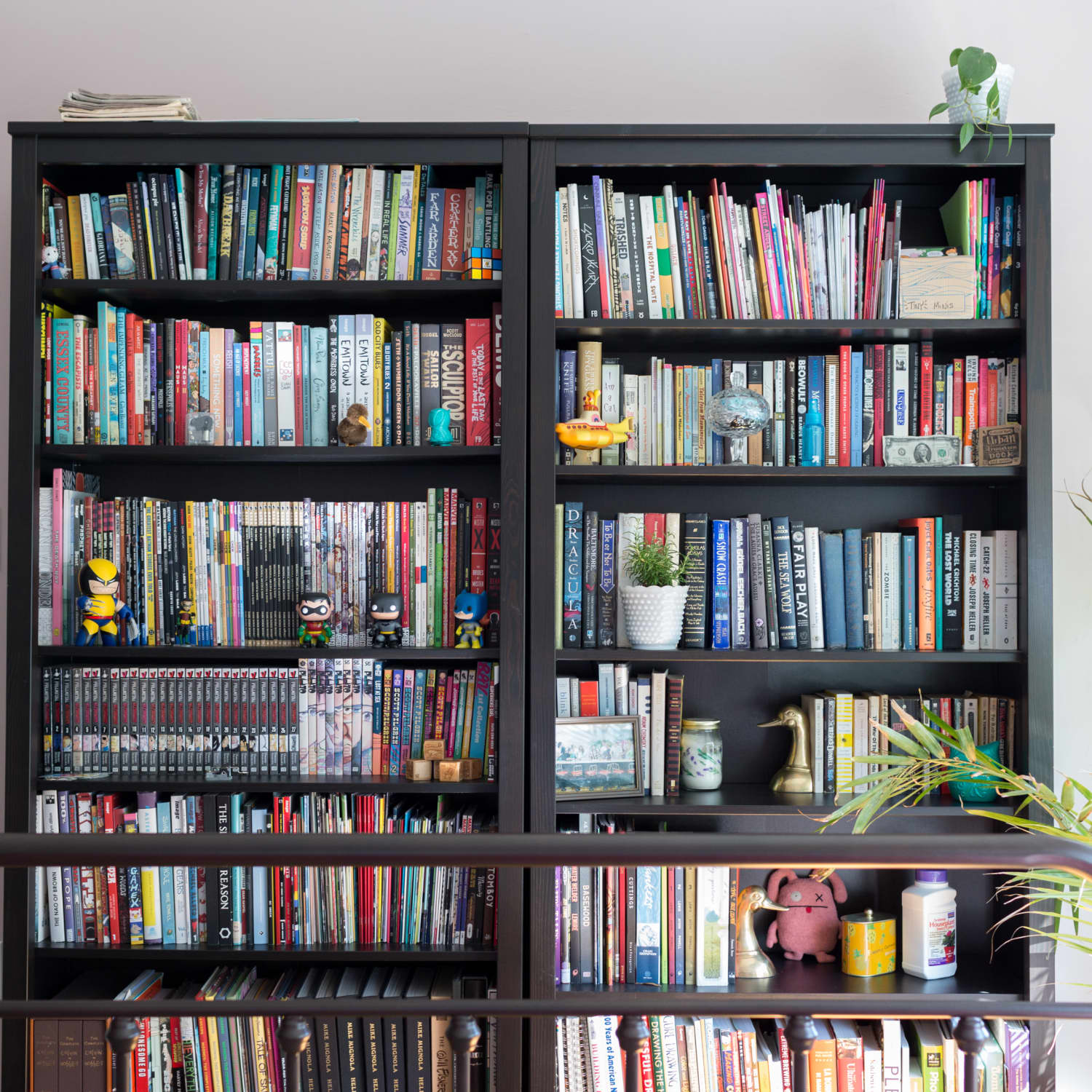 Organized Disney Bookshelves