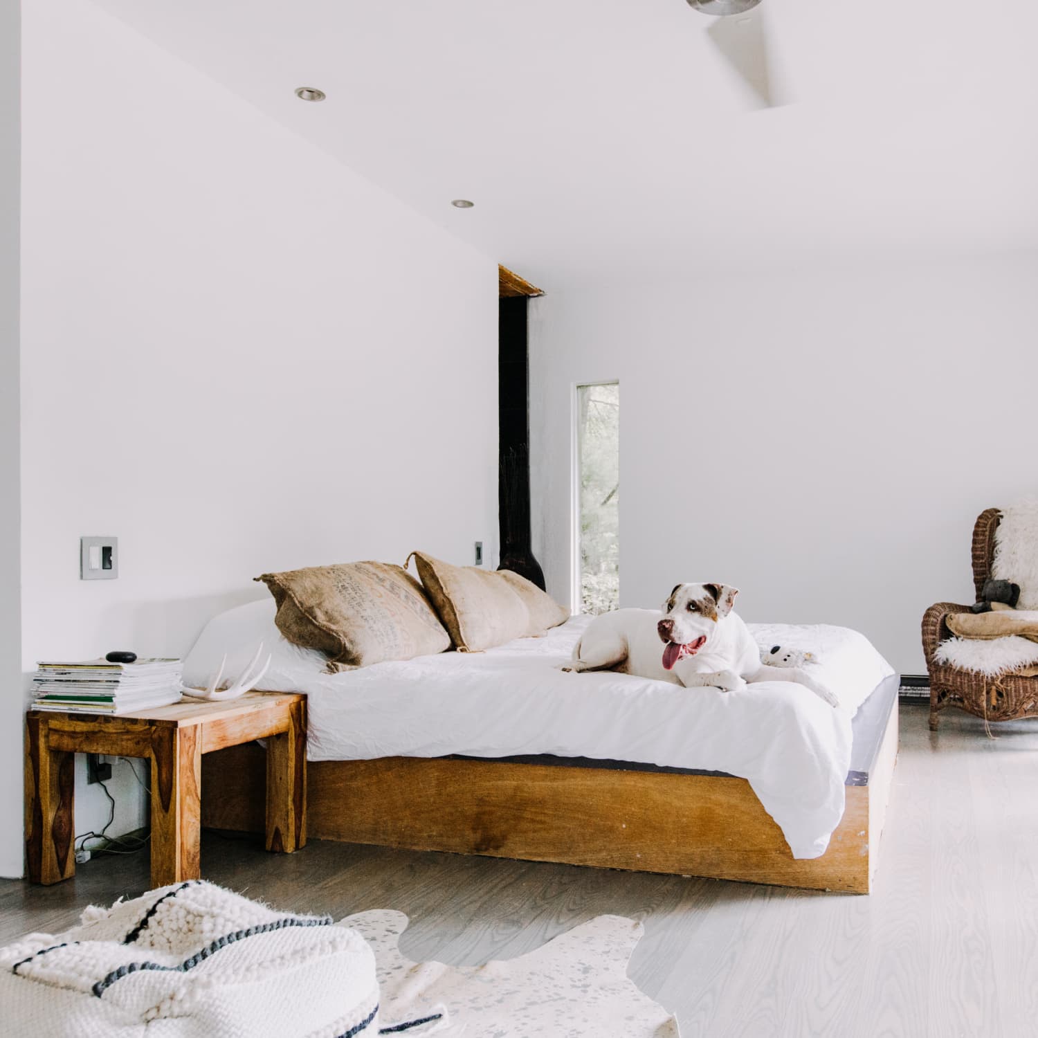 The Best Flooring For Dogs 5 Pet Friendly Expert Approved Options Apartment Therapy