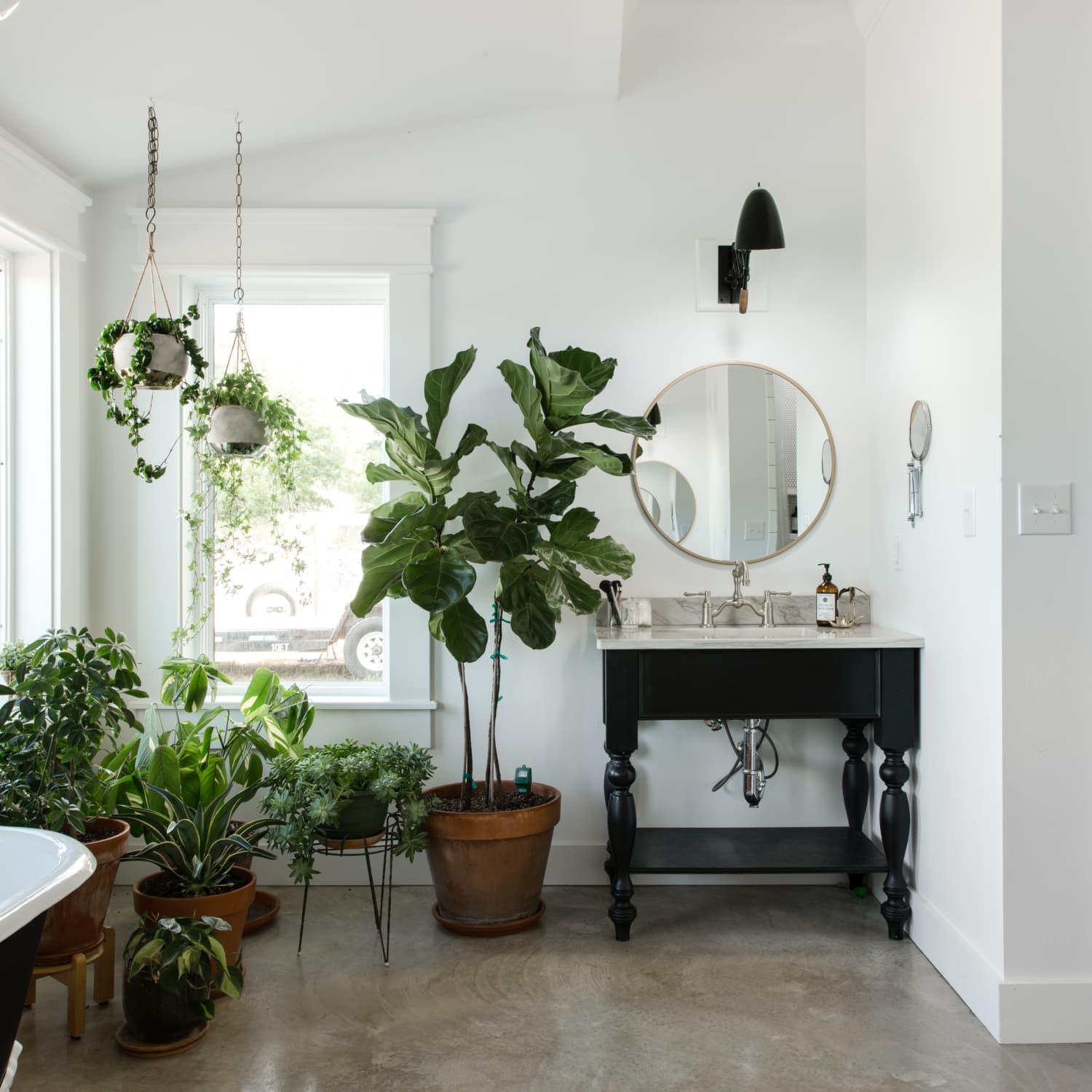 How To Take Care Of Houseplants In The Winter Our Top 10 Tips