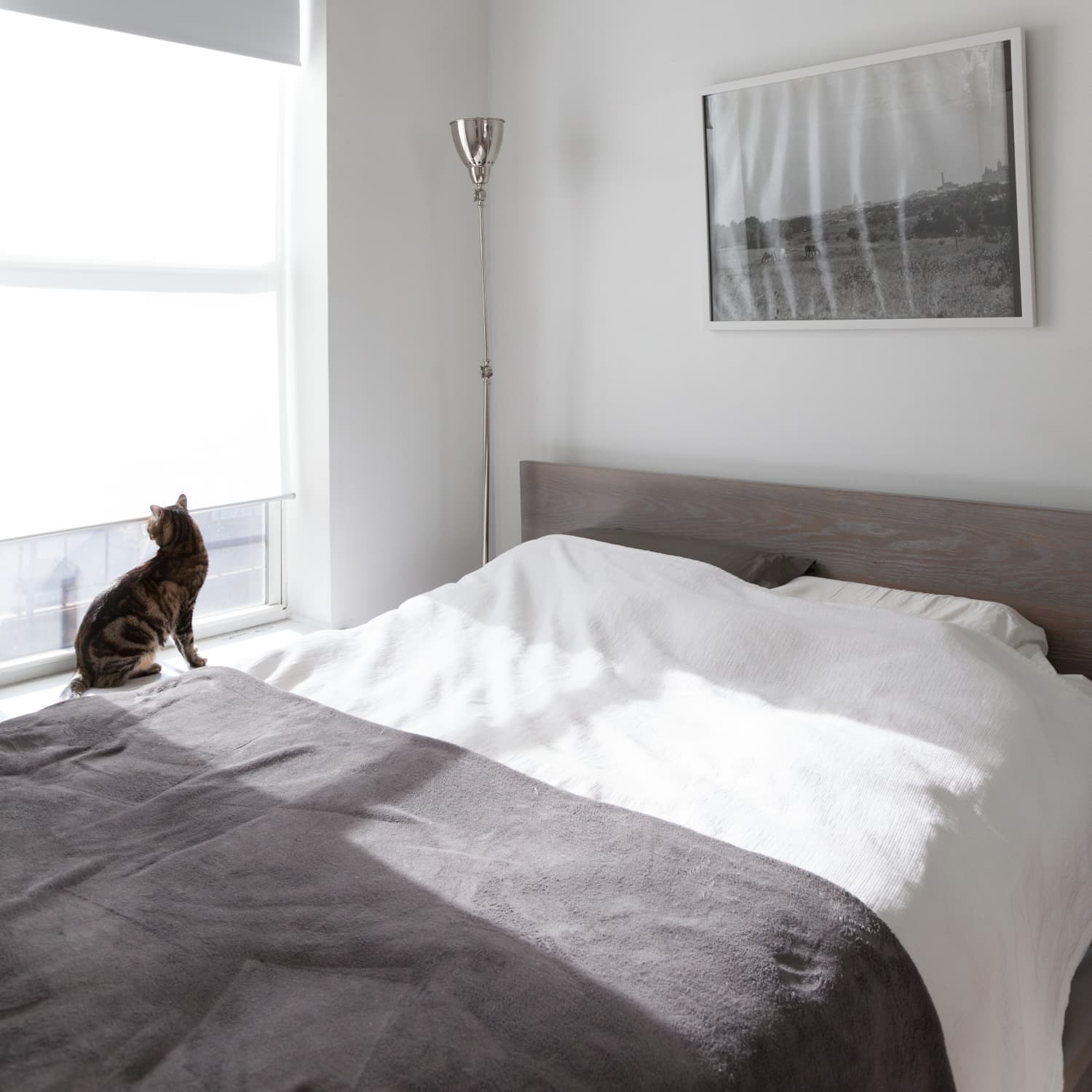 Experimenting With Paint Color In Small Bedrooms Apartment Therapy