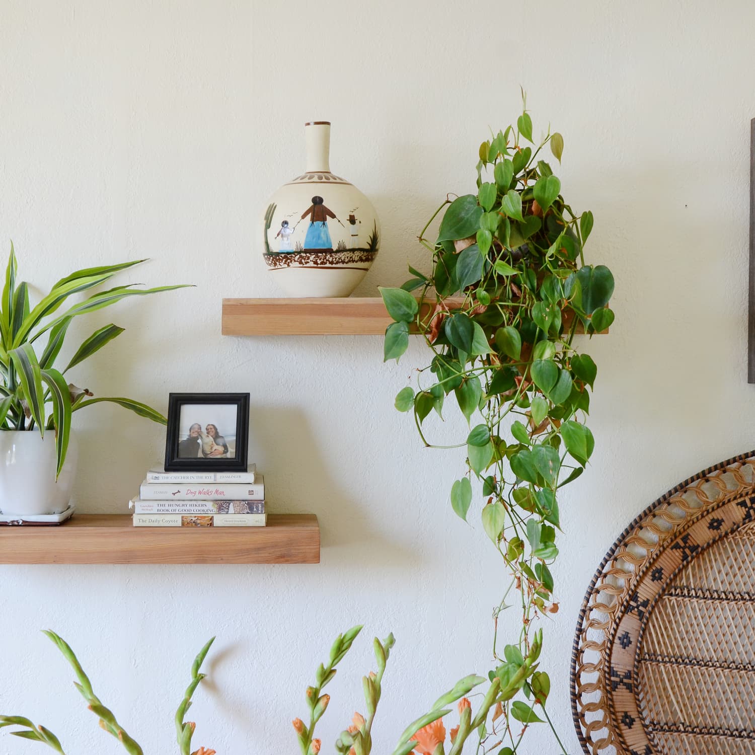 Apartment therapy indoor plants