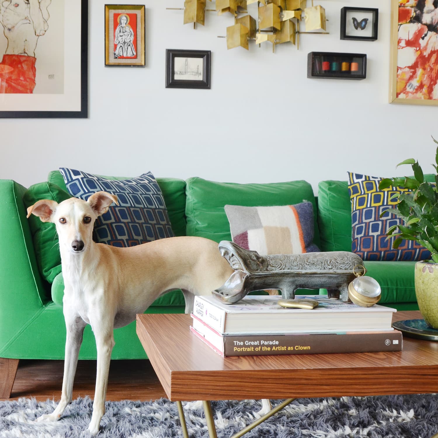 miniature couch for dogs