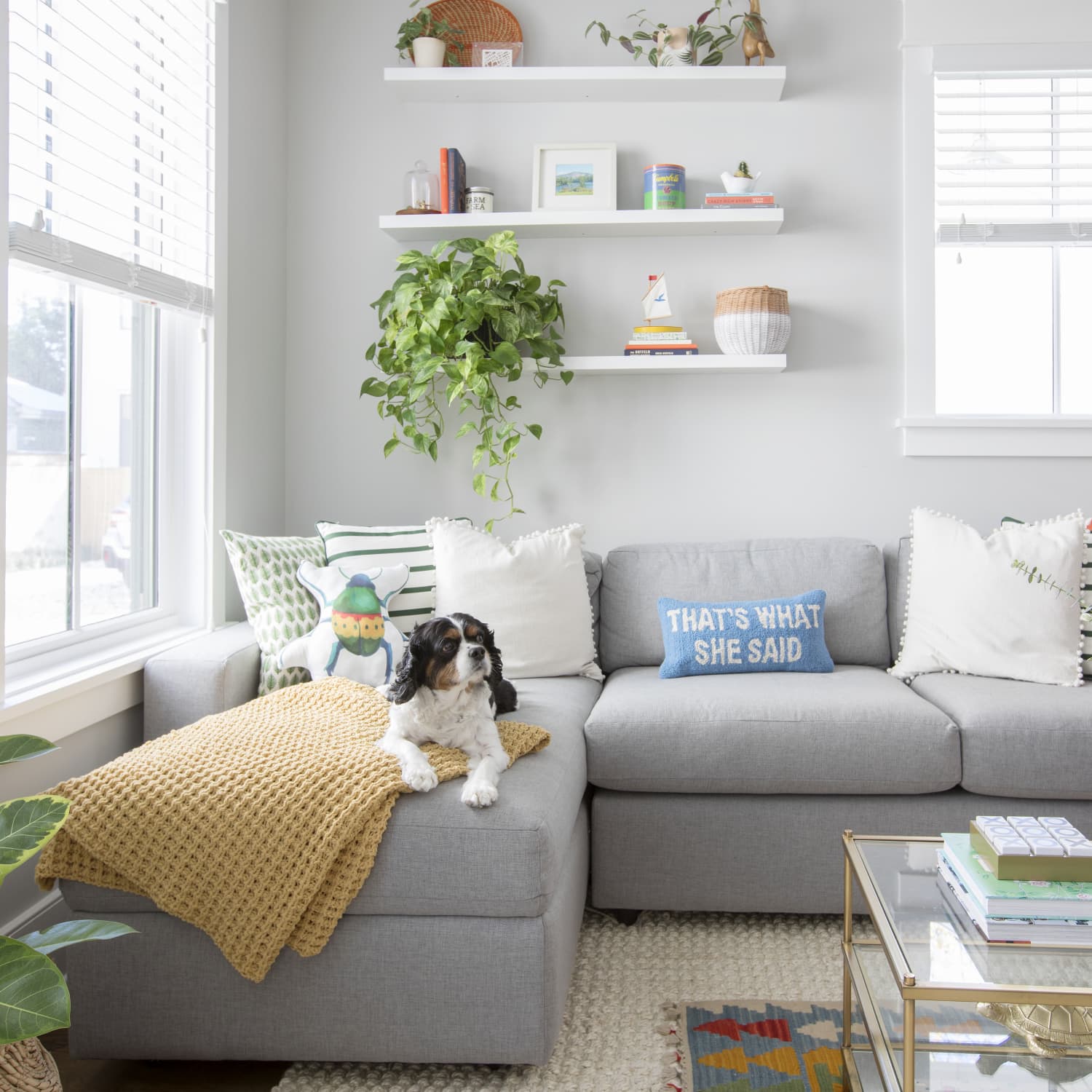 most pet friendly couches