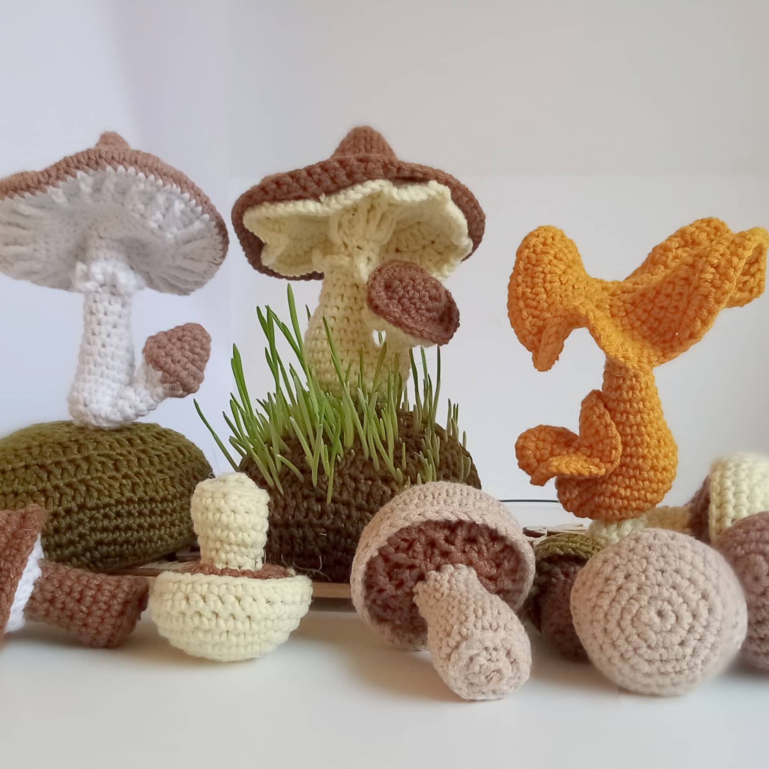 mushrooms