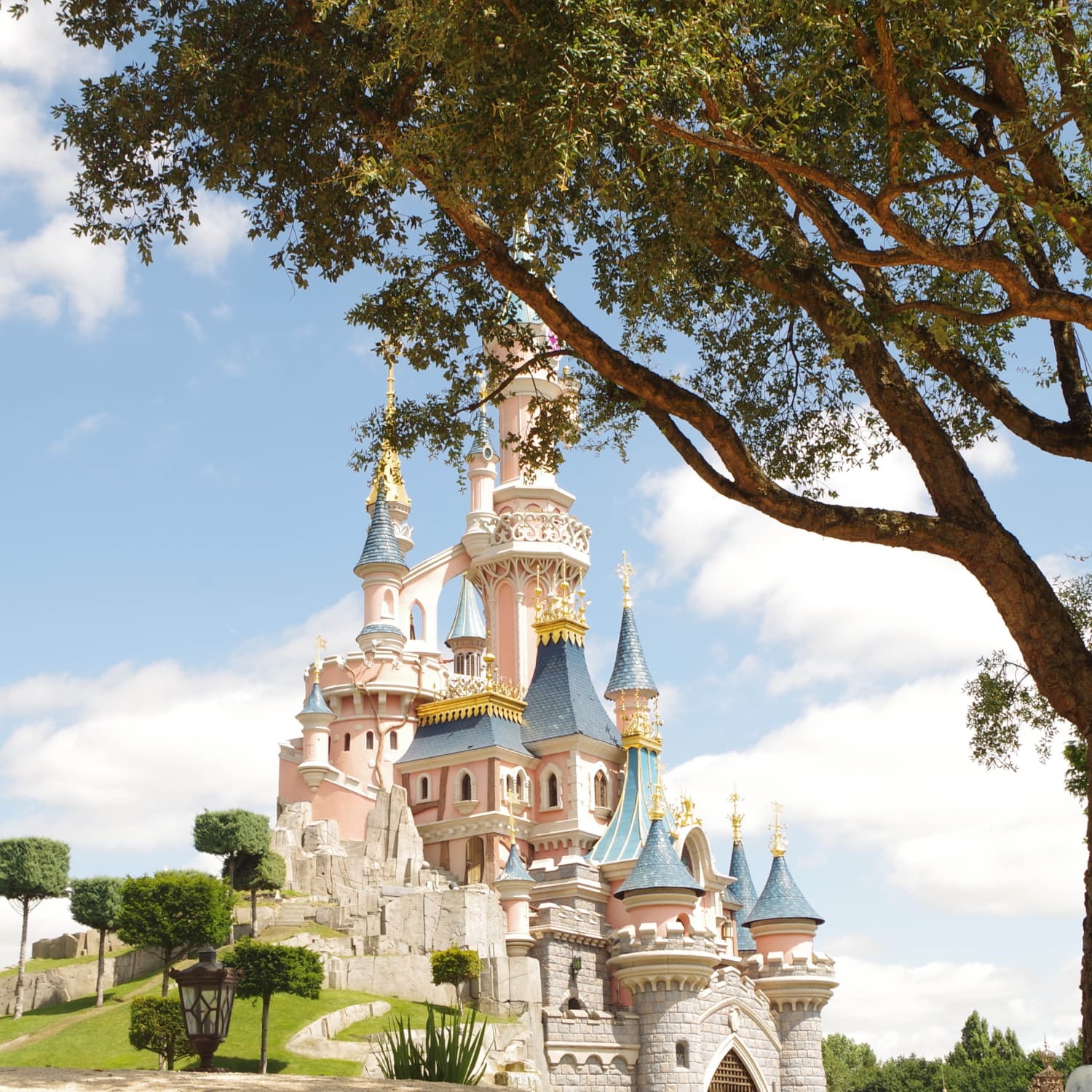 Disney Now Has a $110,000 Private Jet Tour to All of Its 12 Parks |  Apartment Therapy