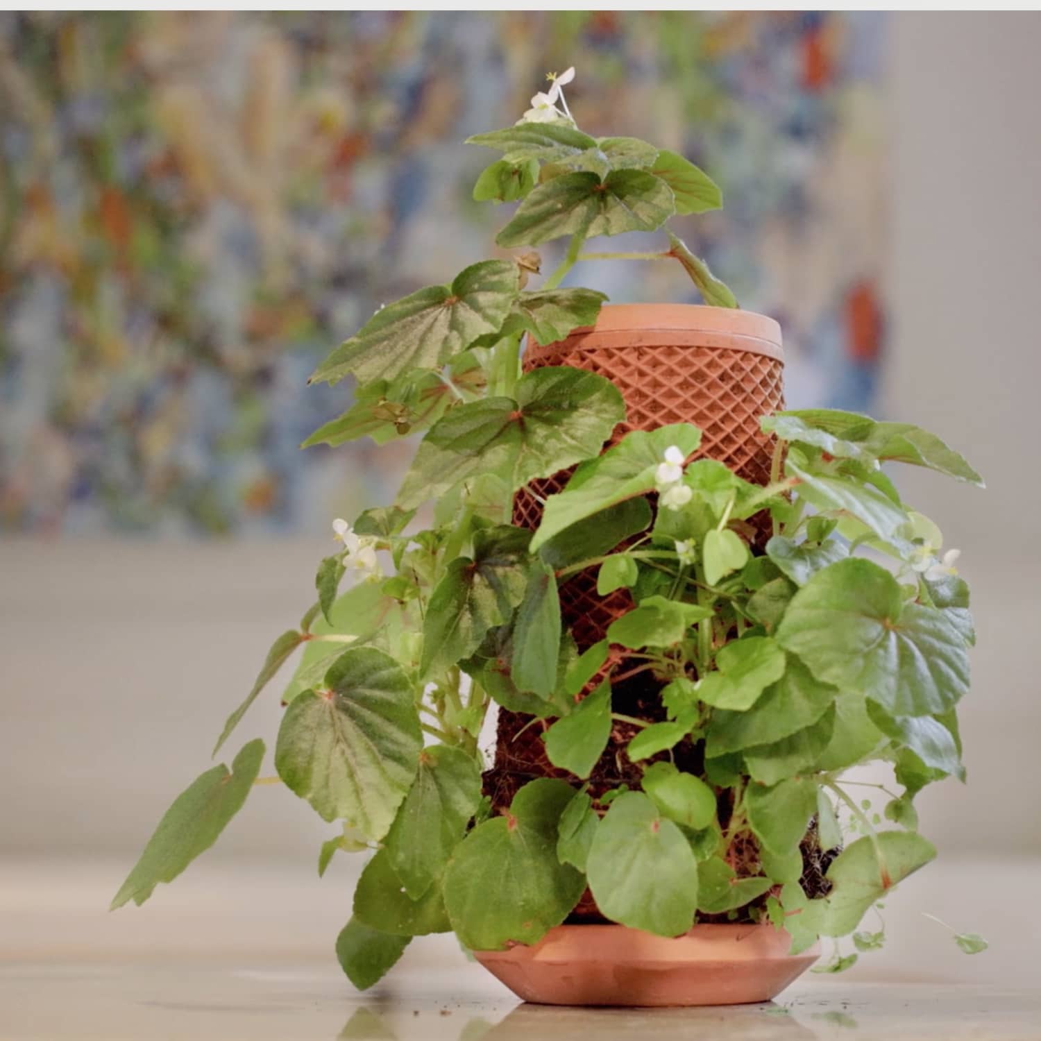 Terraplanter Hydroponic Planter Apartment Therapy