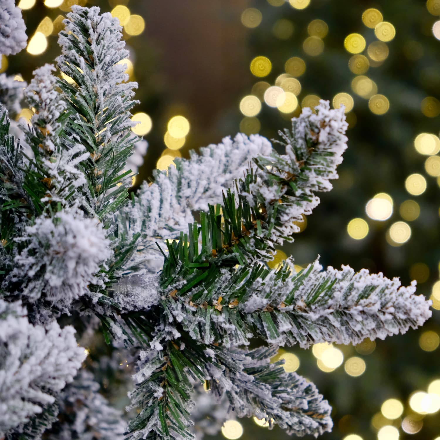 Tim Mcgraw Won Christmas With His Giant Tree | Apartment Therapy