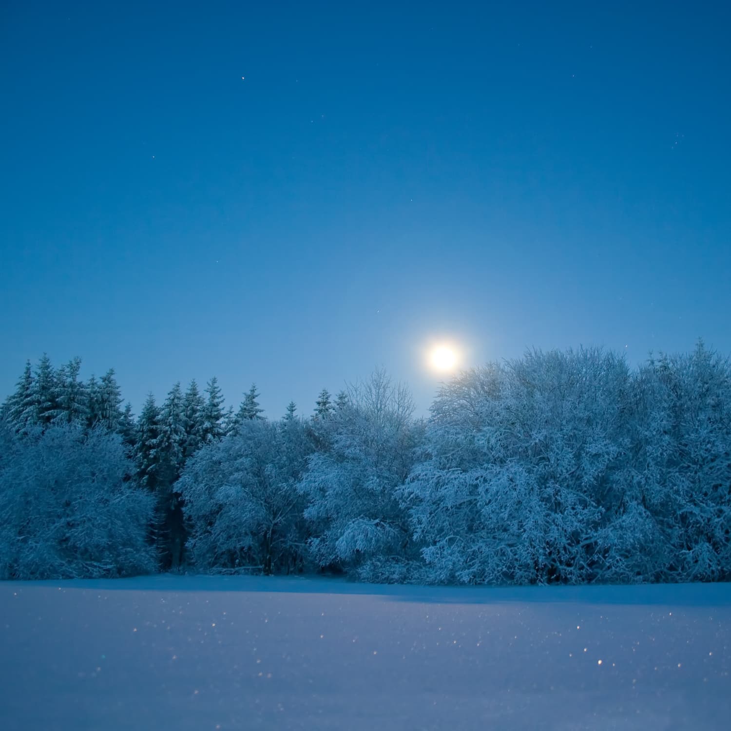 February Snow Moon 21 Apartment Therapy