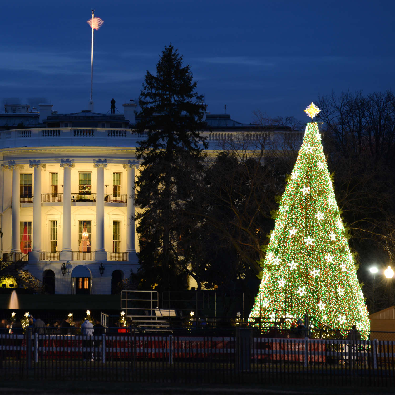  Official 2022 White House Christmas Ornament : Home & Kitchen