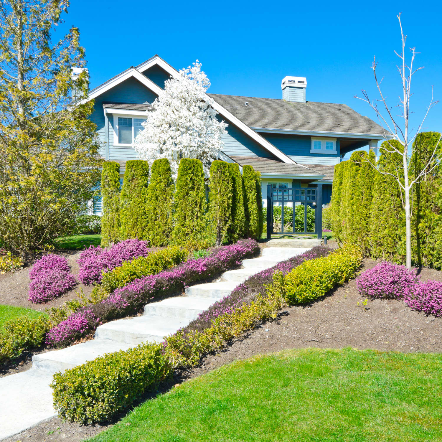 The Pesky Shrubs You Should Never Plant in Your Yard | Apartment Therapy