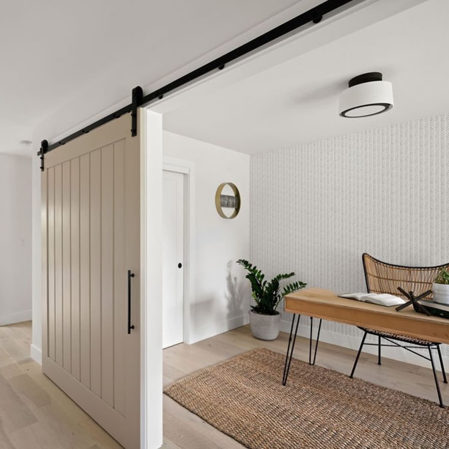 Cat door for pocket hot sale door