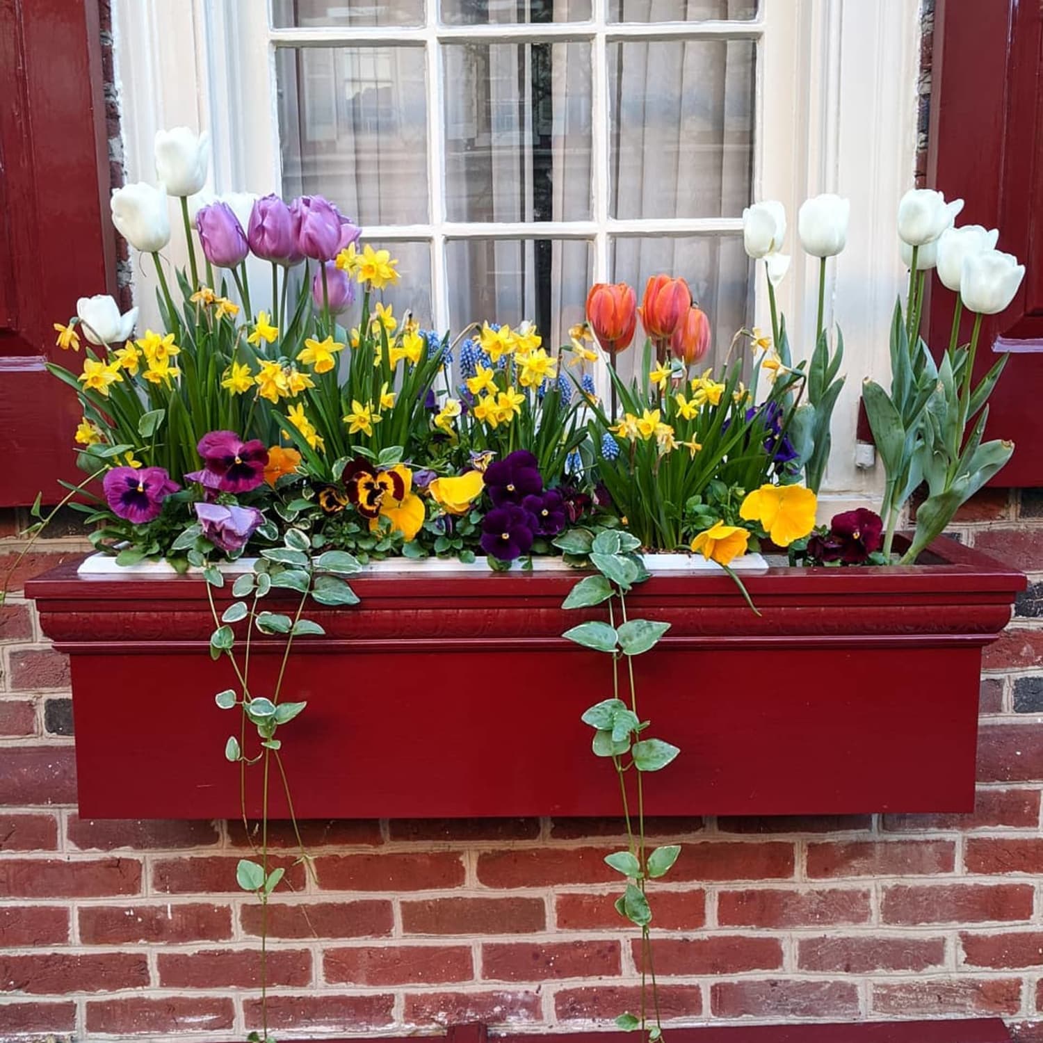 Window Box With Pink Flowers