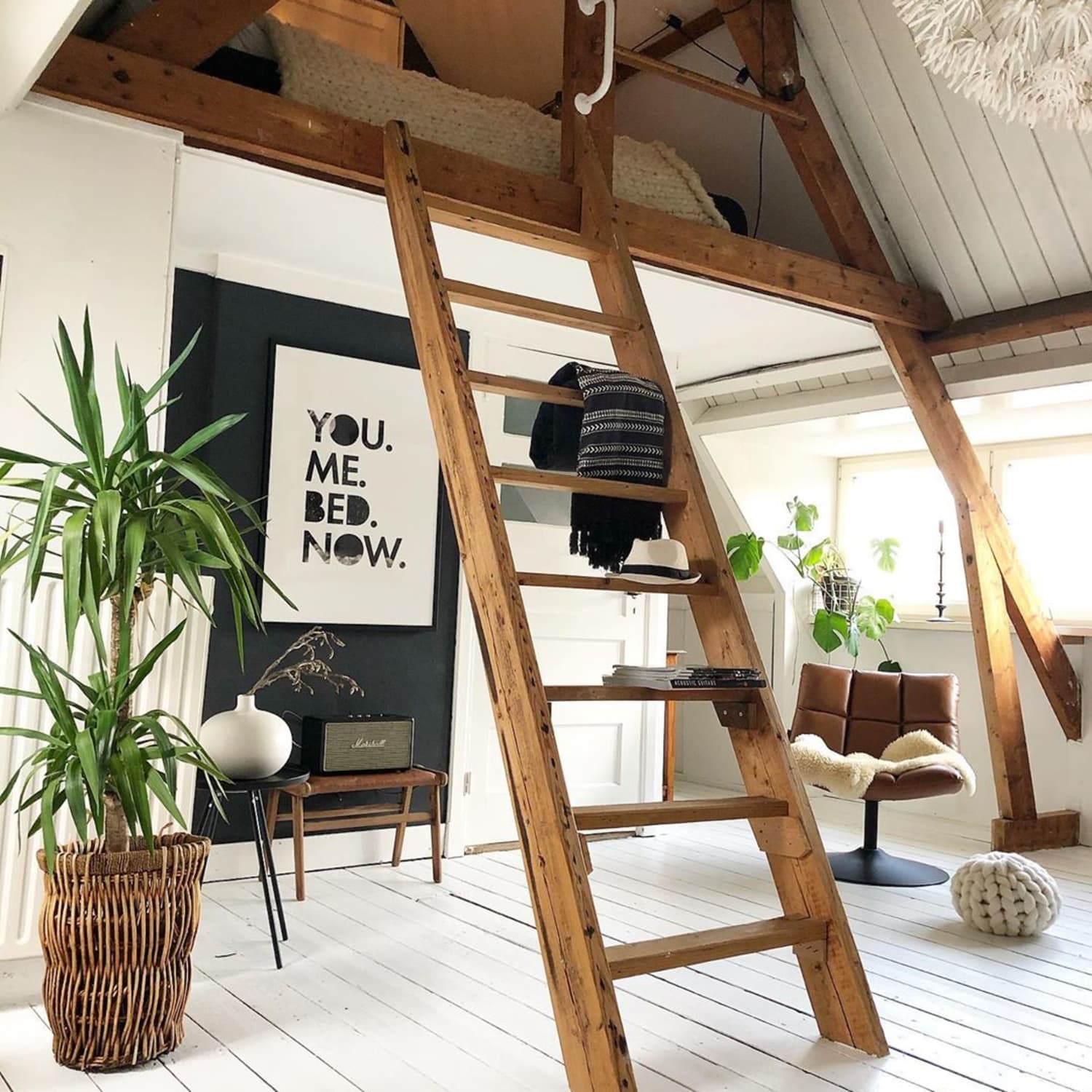 Where can i buy a loft bed cheap