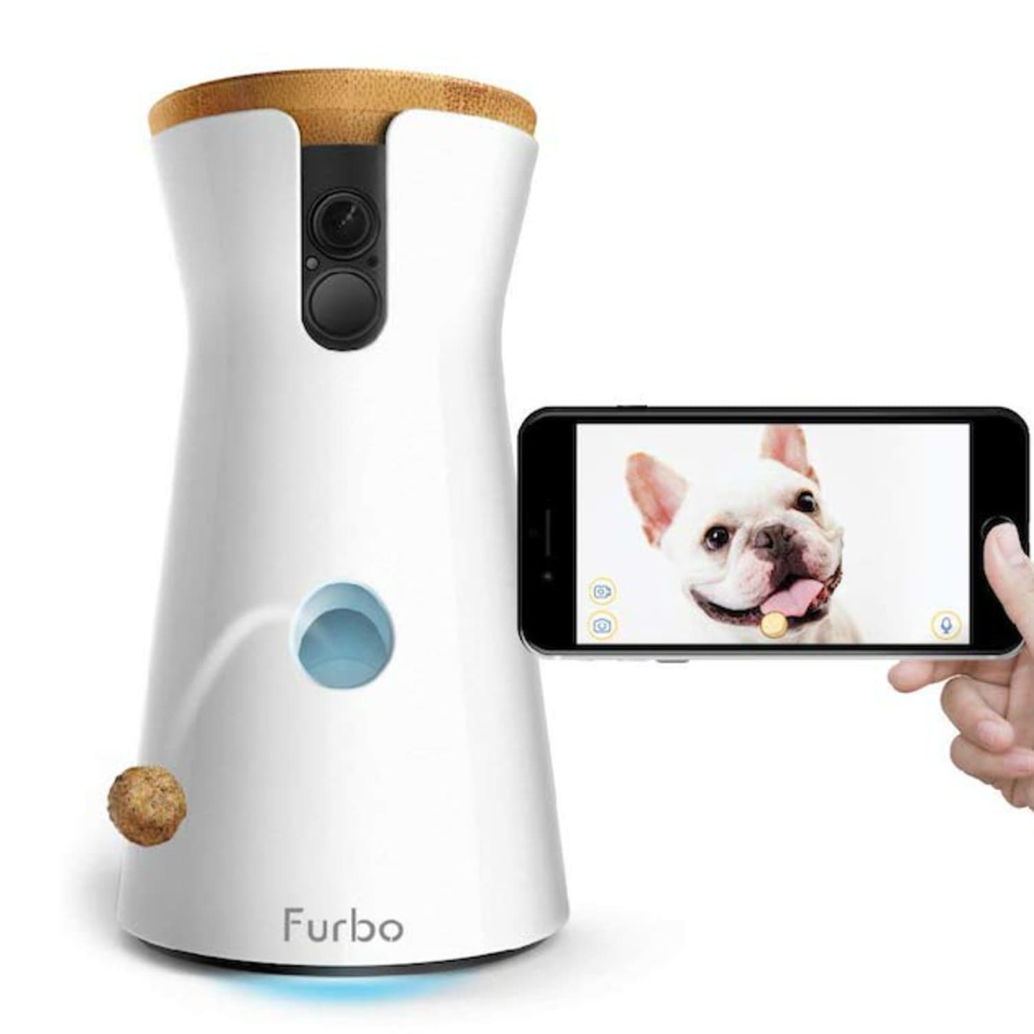 Furbo petco deals
