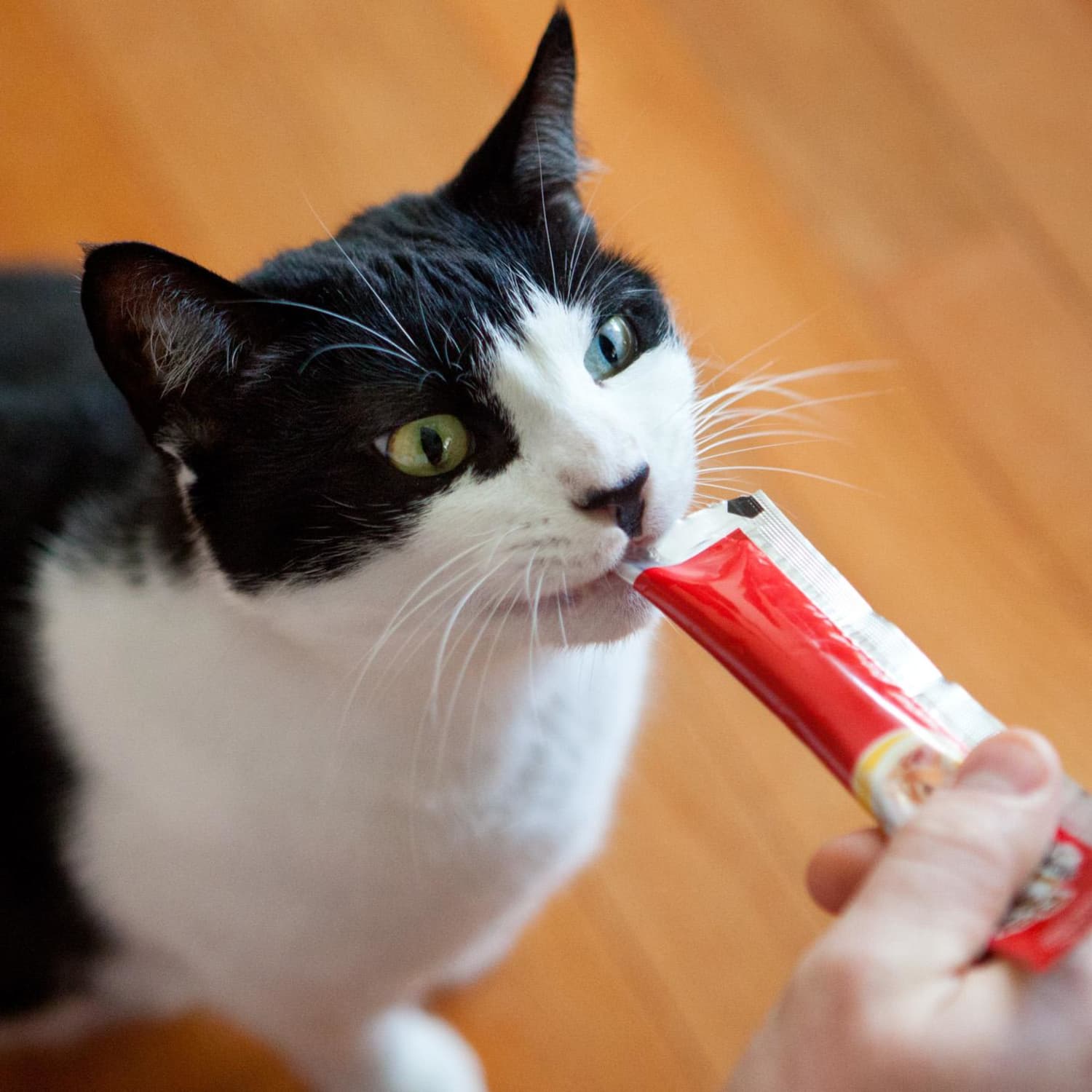 Cat treat tube discount