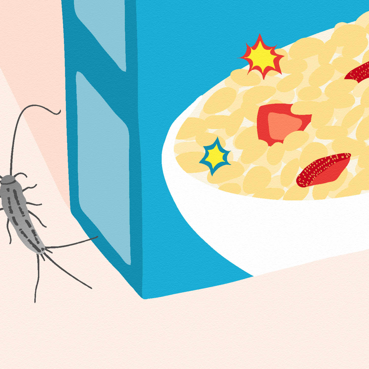 Get rid of clearance silverfish