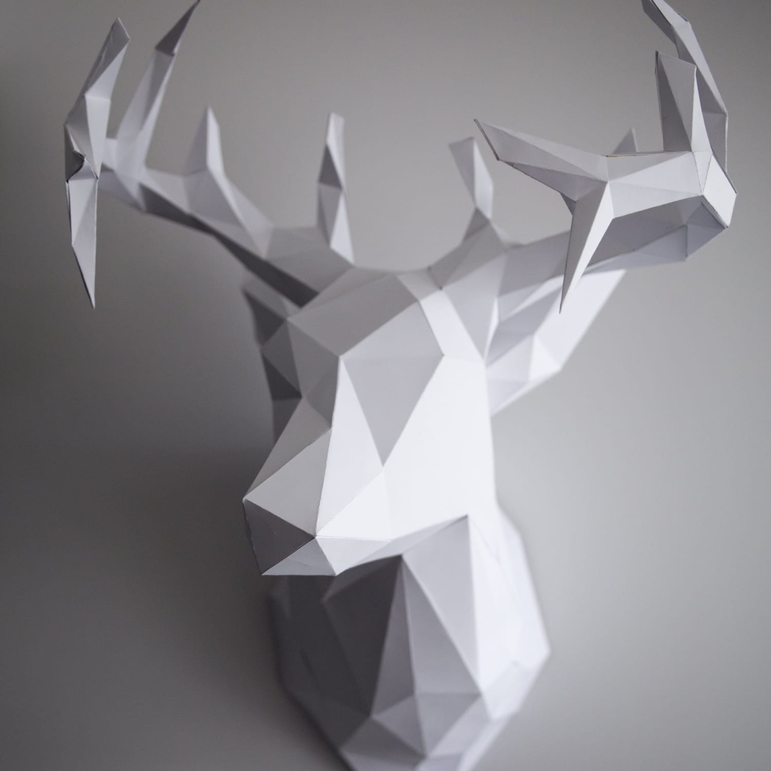 Paper shop deer head