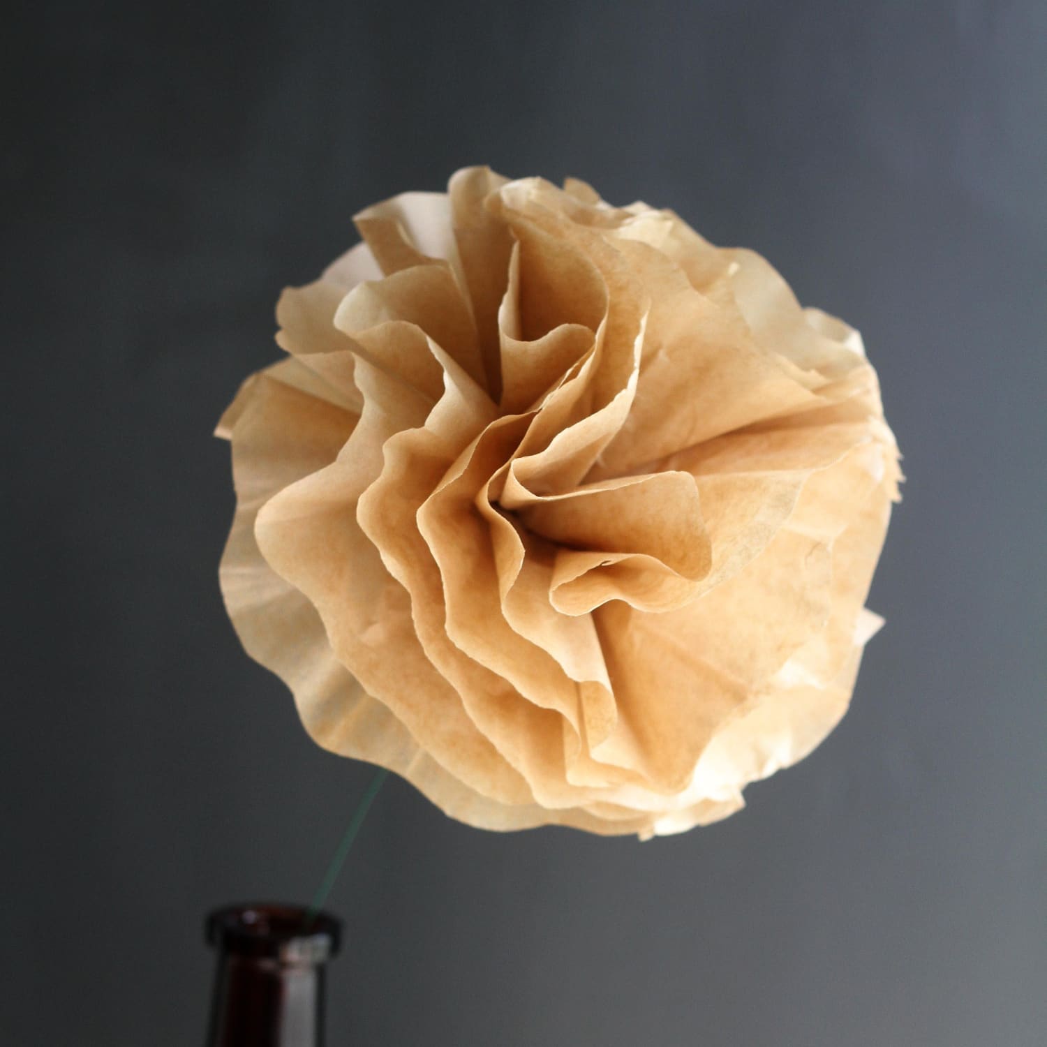 Coffee clearance filter flowers