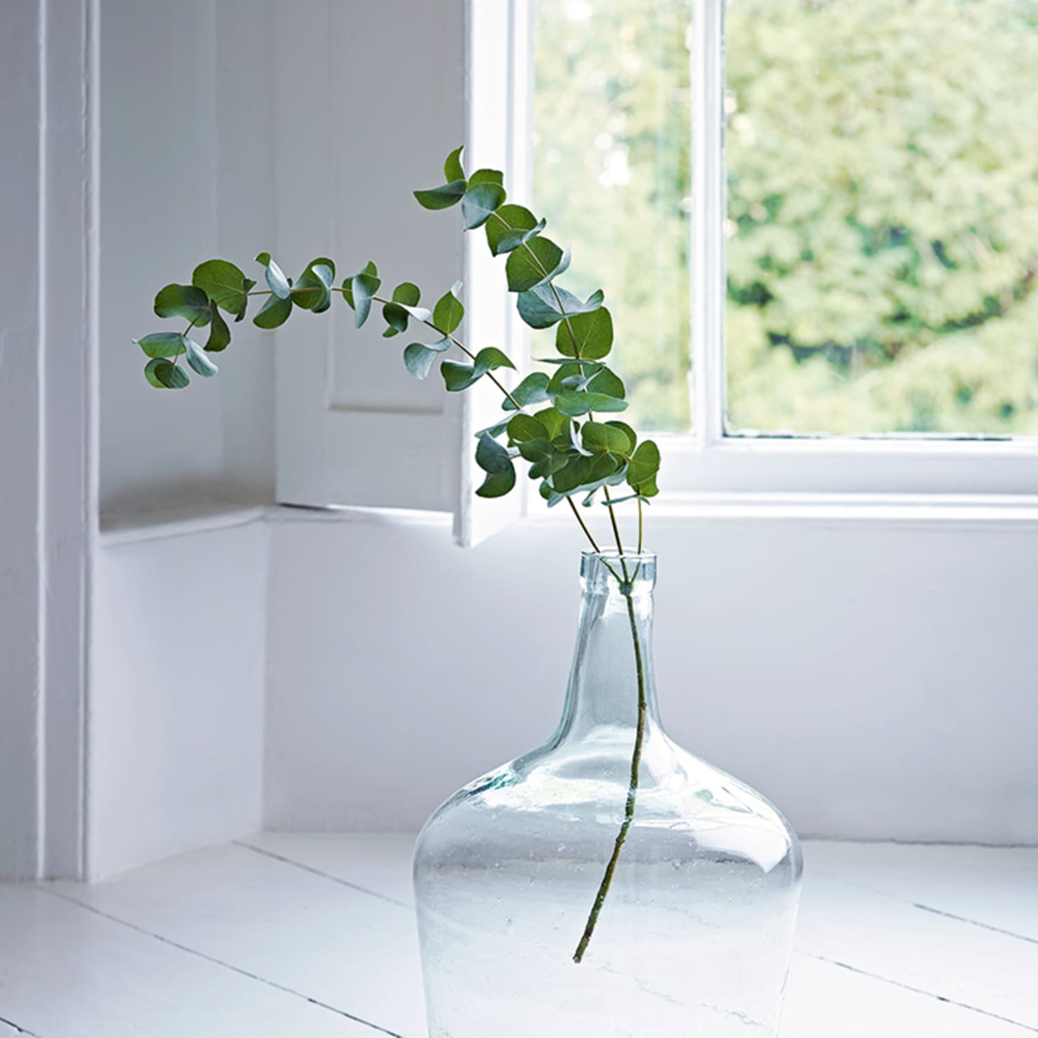 Extra large best sale glass vase