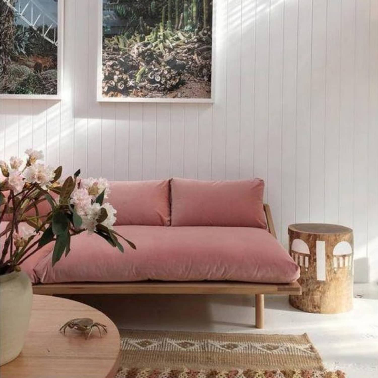 Blush shop velvet couch