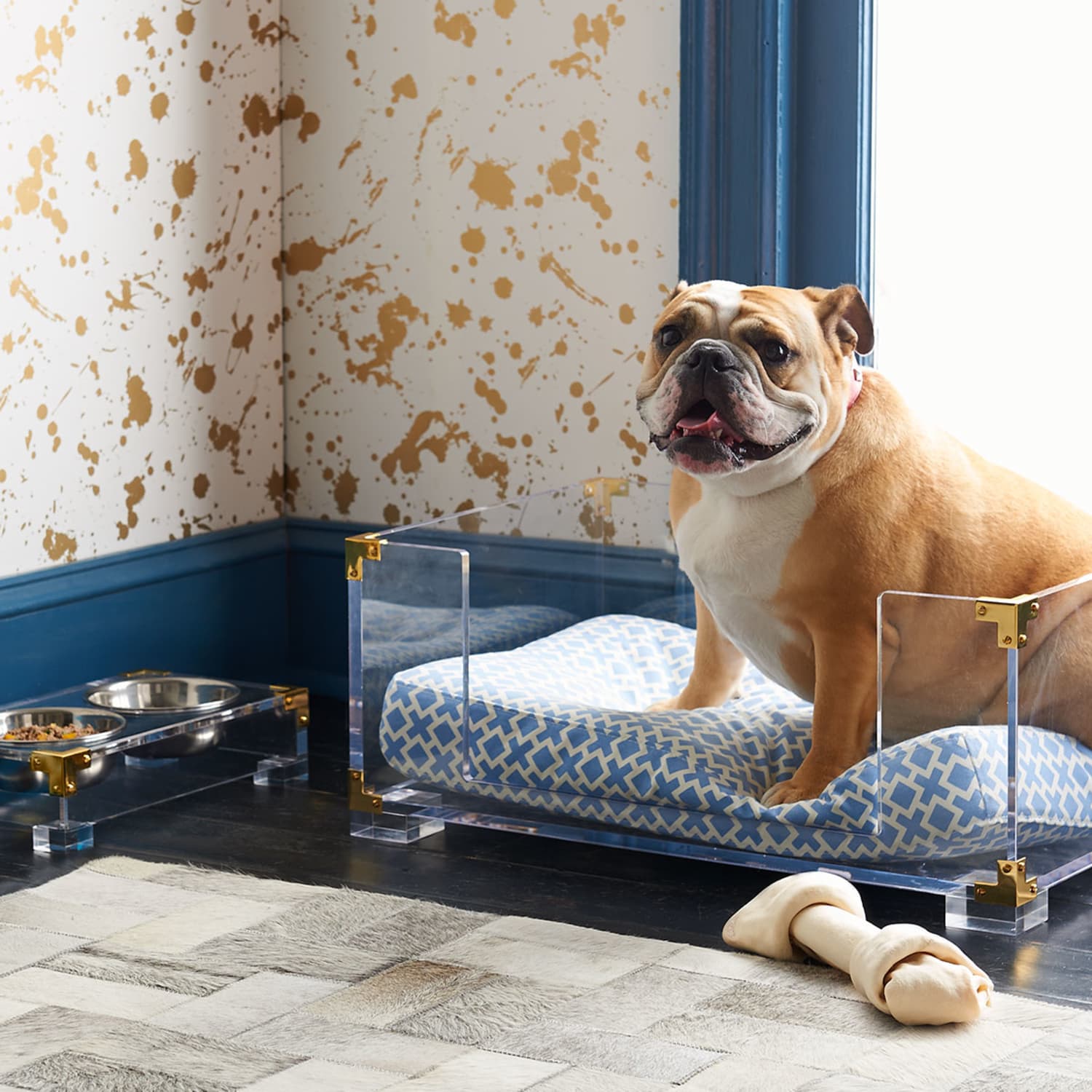 Acrylic 2025 dog bed