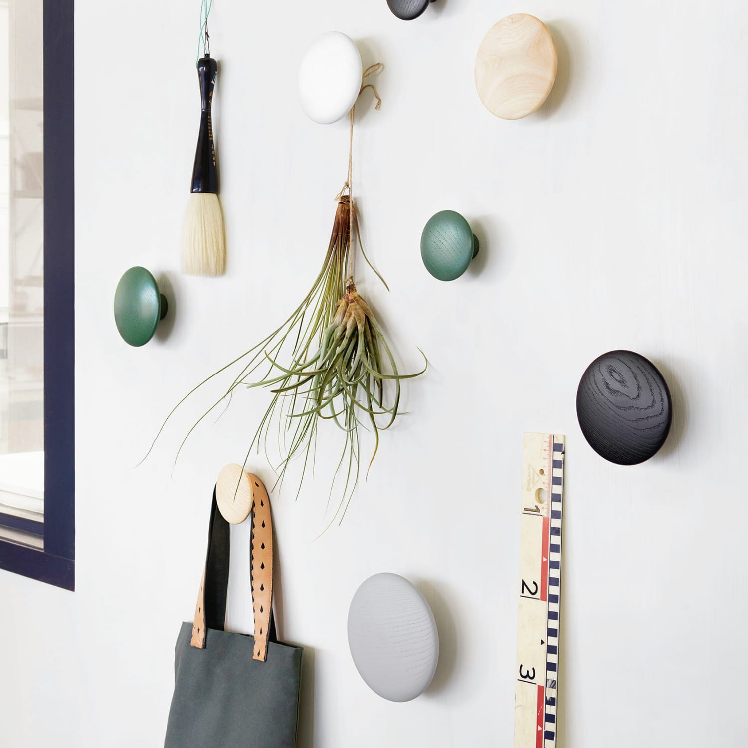 Modern individual coat hooks store