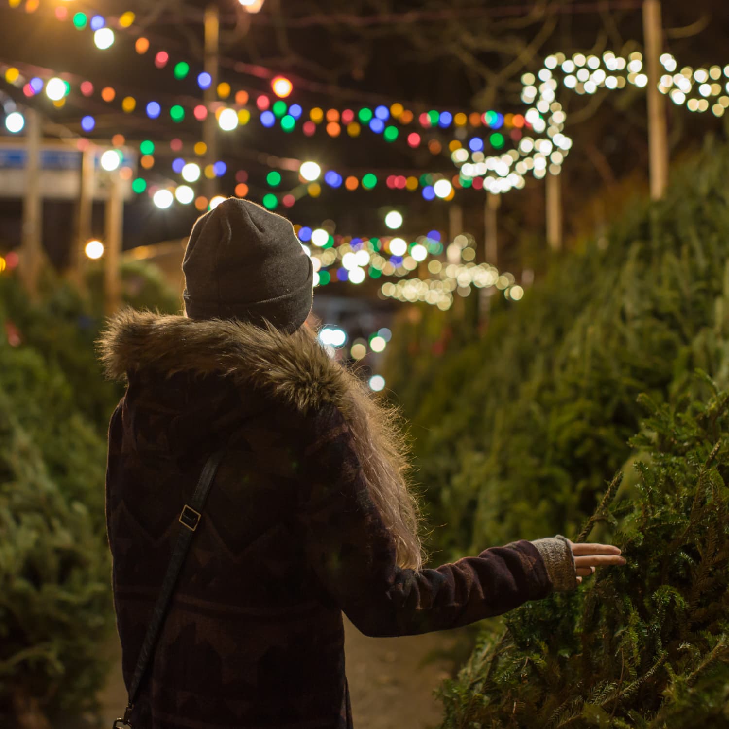 Christmas tree home shop depot real