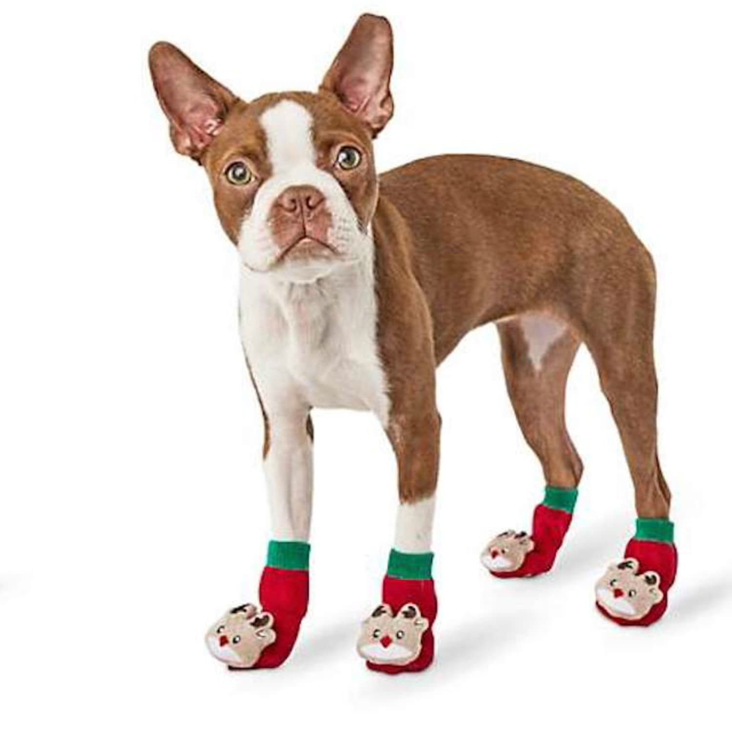 You Can Buy Your Dog a Pair of Socks To Wear on Christmas Morning