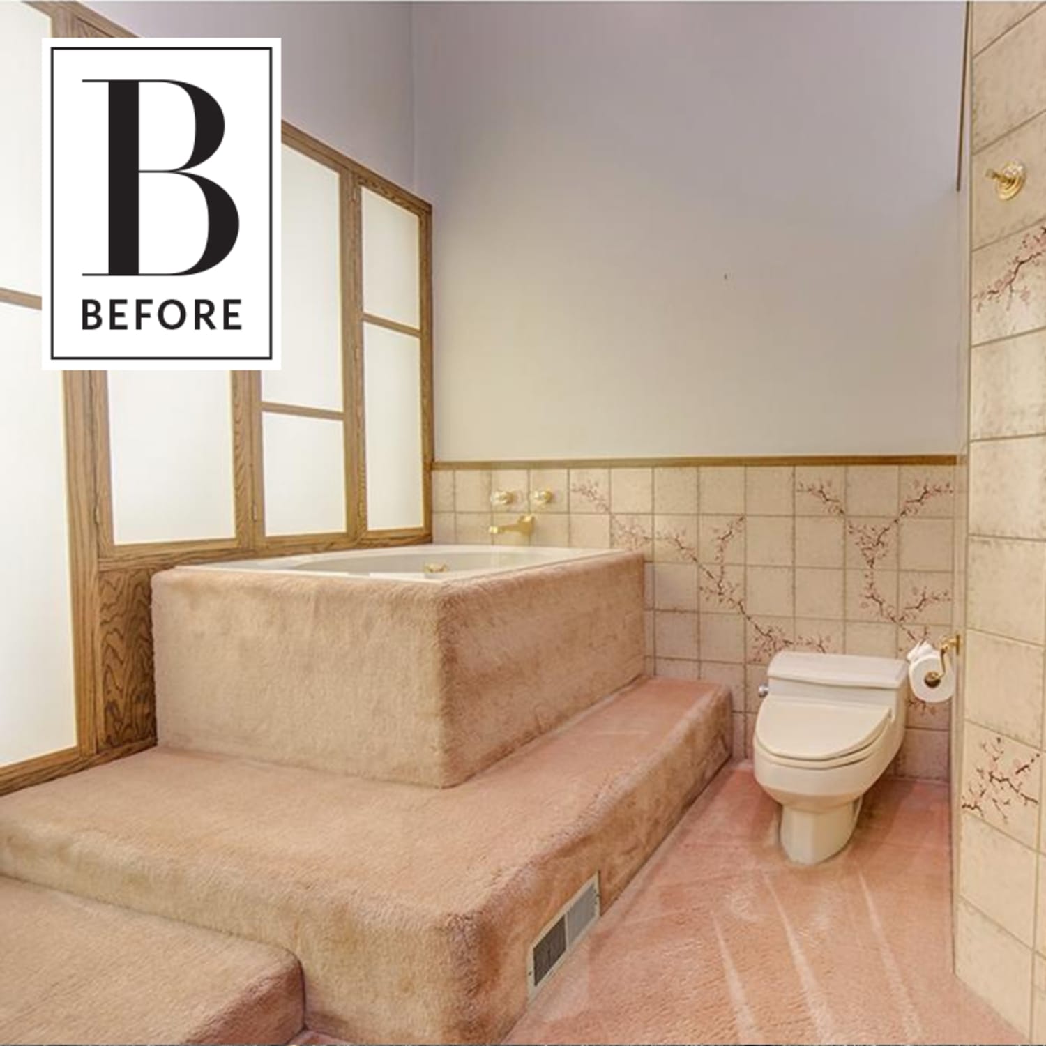Carpeted shower outlet