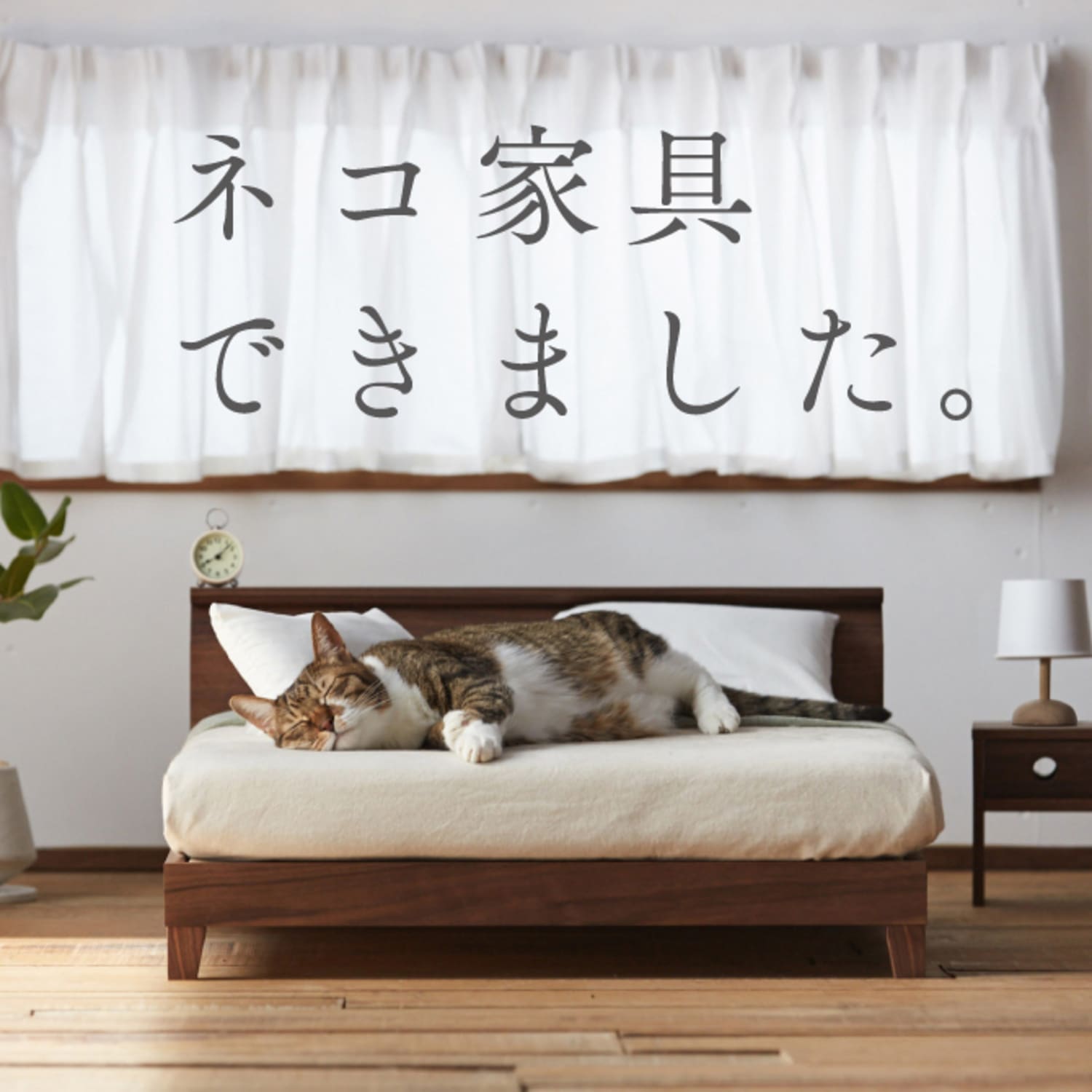 You Have to See This Minimalist Cat Furniture Right Meow