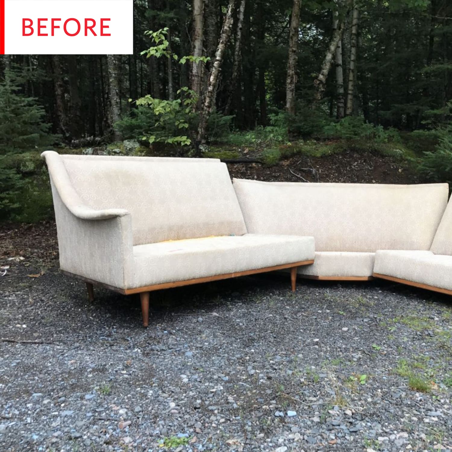 Vintage Mid Century Sofa Reupholstery Photos Apartment Therapy