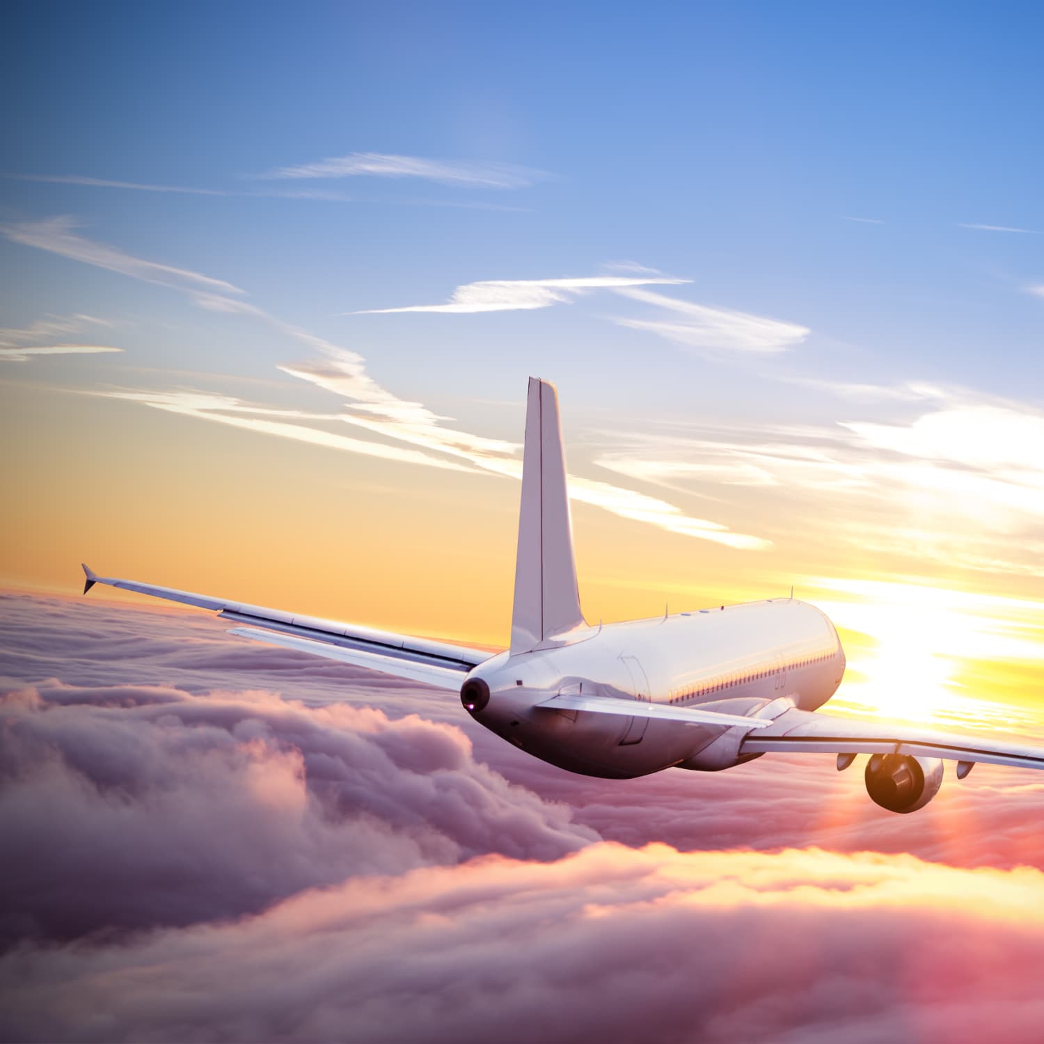 JetBlue Flight Deals Cupid Flash Sale 39 Tickets Apartment Therapy