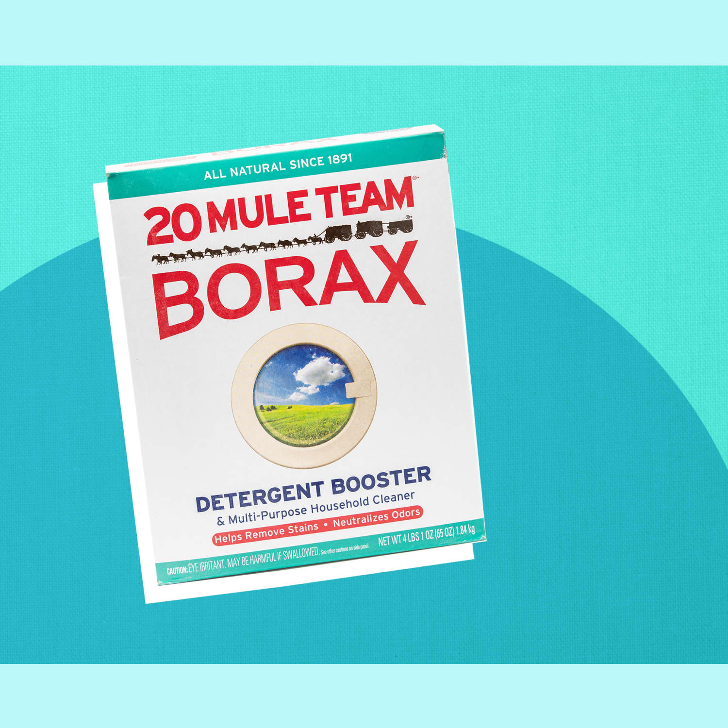 16 Borax Uses for Every Part of Your Home Apartment Therapy