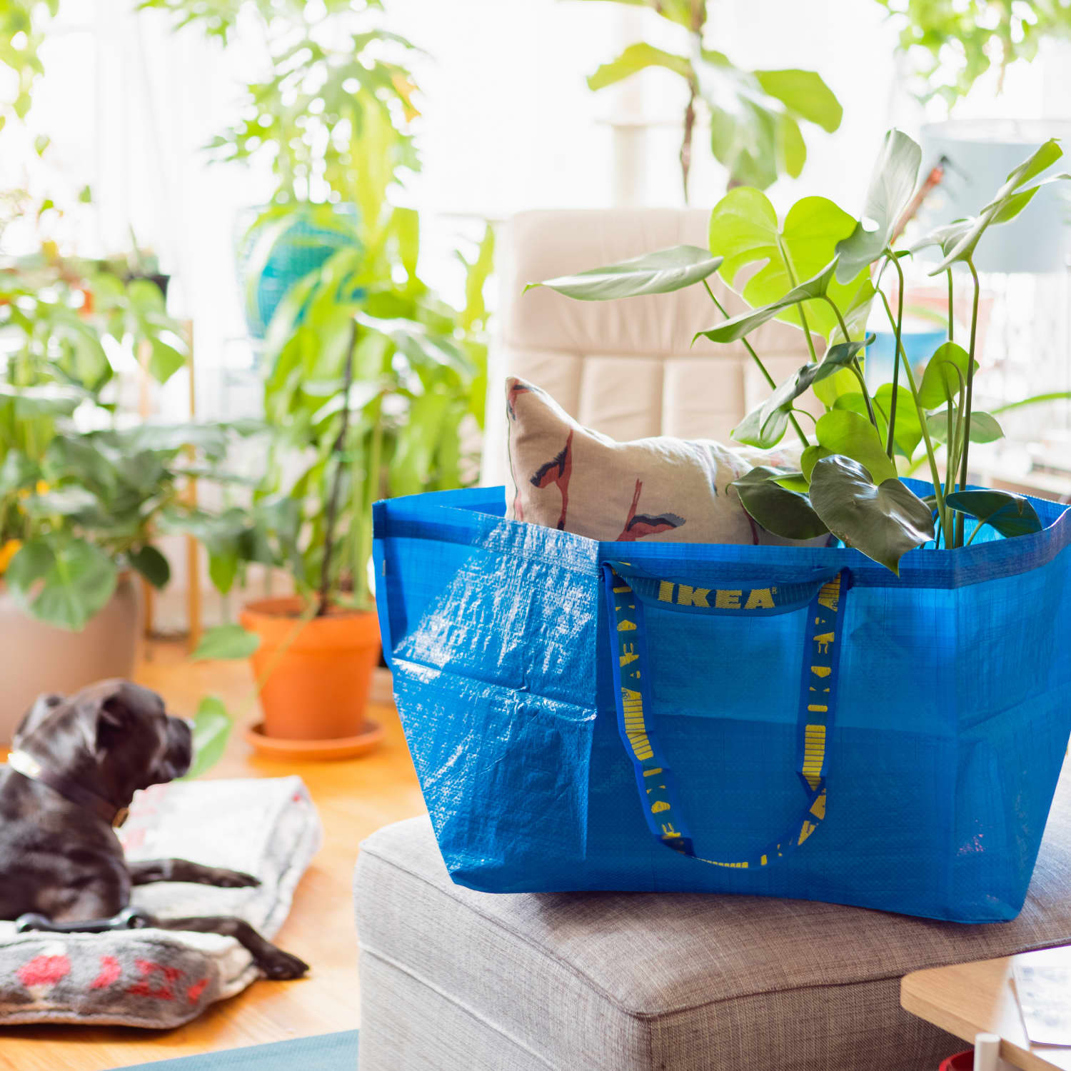 Ikea shop beach bag