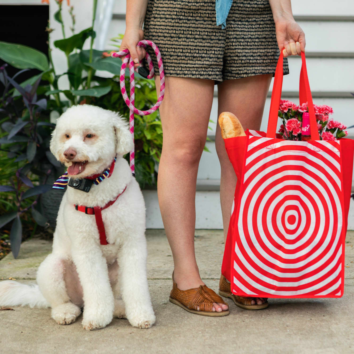 Target poodle clearance skirt