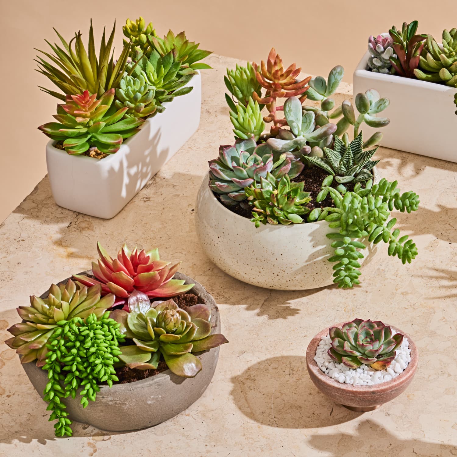Artificial succulents in pots deals