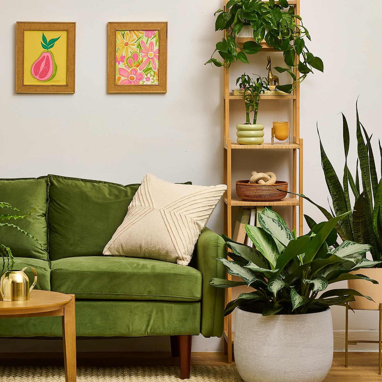 Indoor Plants Living Room