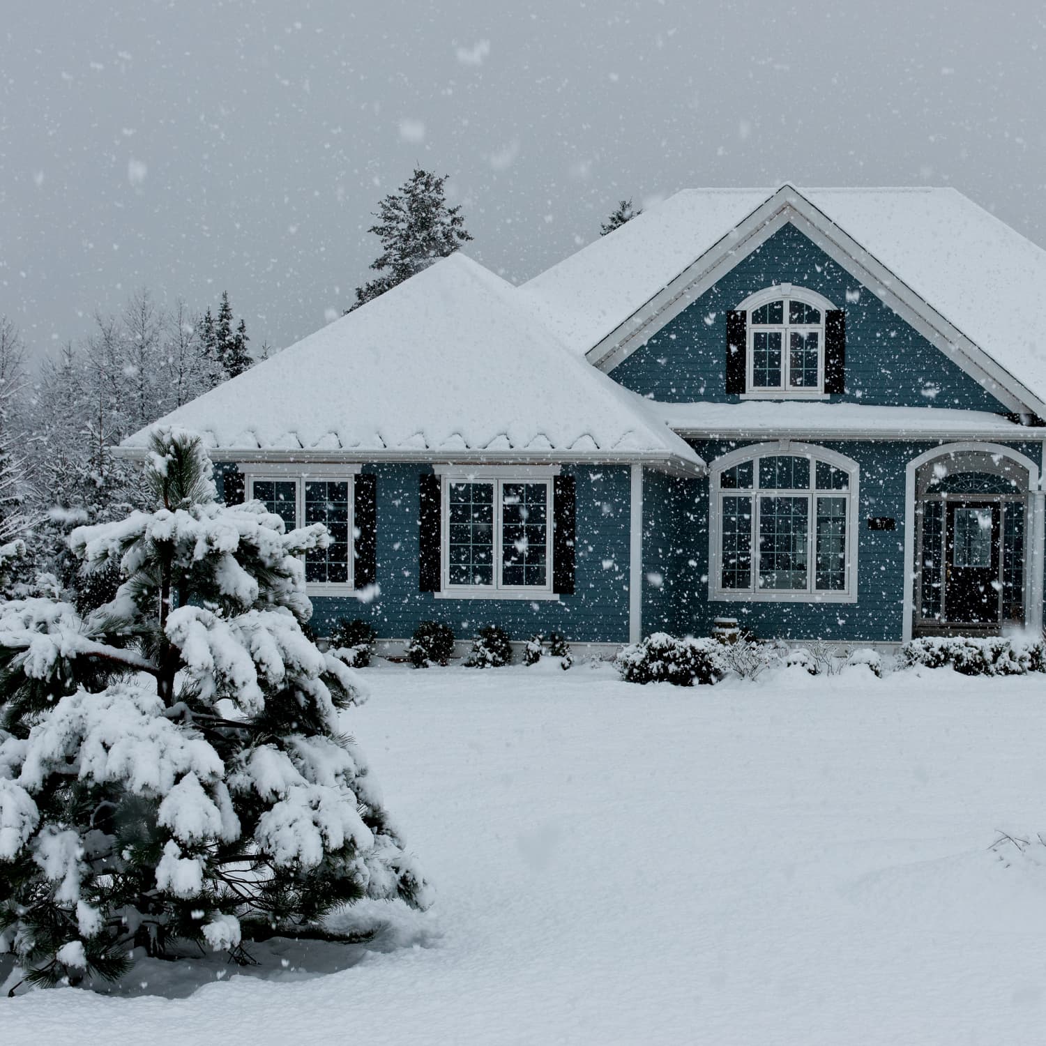Snow Home