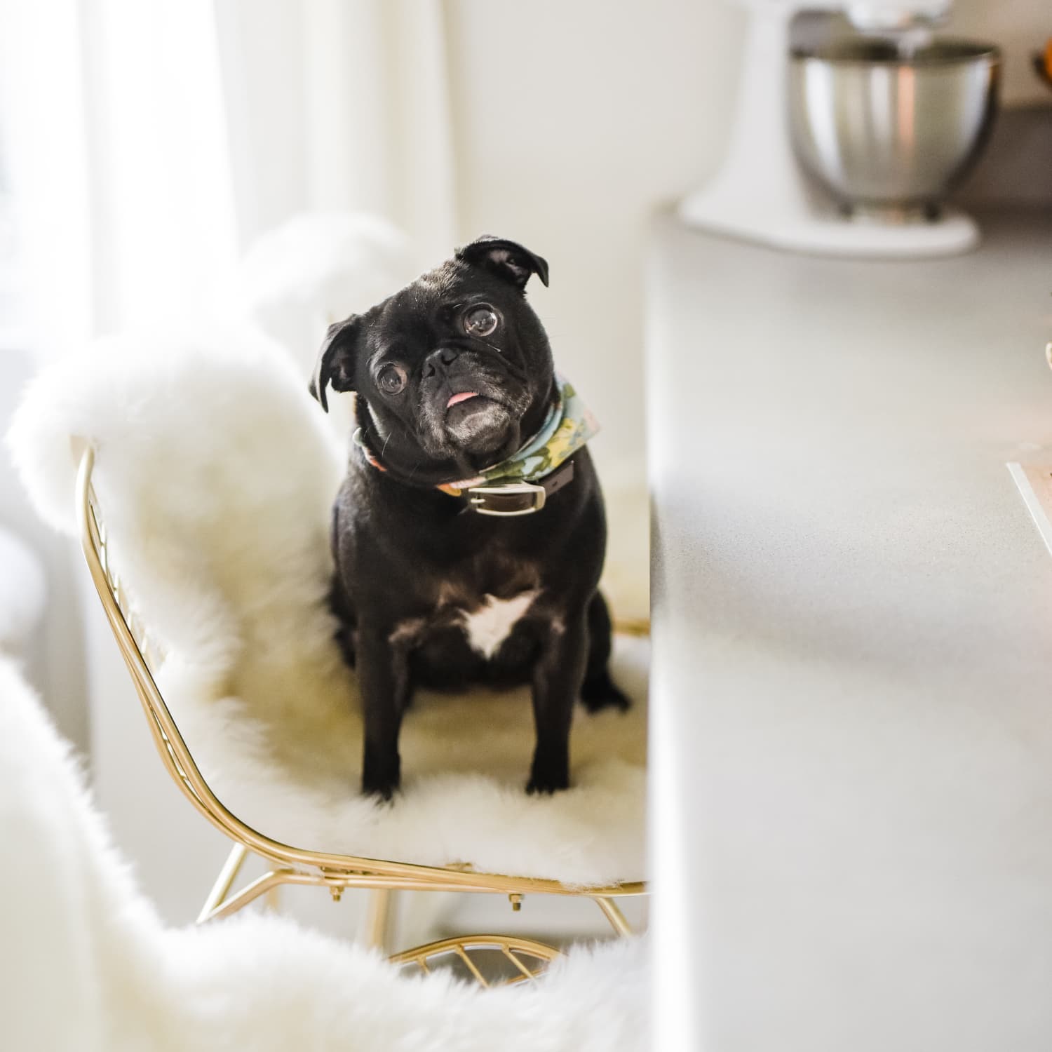Sheepskin seat pad ikea clearance